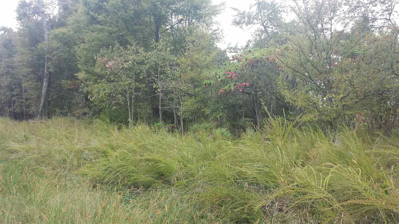 Anchor Heights - Land