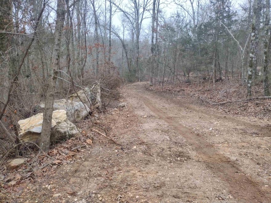 Looking for the distinctive property in ideal location to build your dream home with great garden spot and a picturesque view of surrounding mountains? This property features a small stream running through back side of property has water significant portion of the year. Check it out and envision building your house, relaxing on the deck, and taking in the breathtaking view overlooking your garden or simply appreciating nature. Conveniently situated just 15 minutes from Mountain View and its amenities.