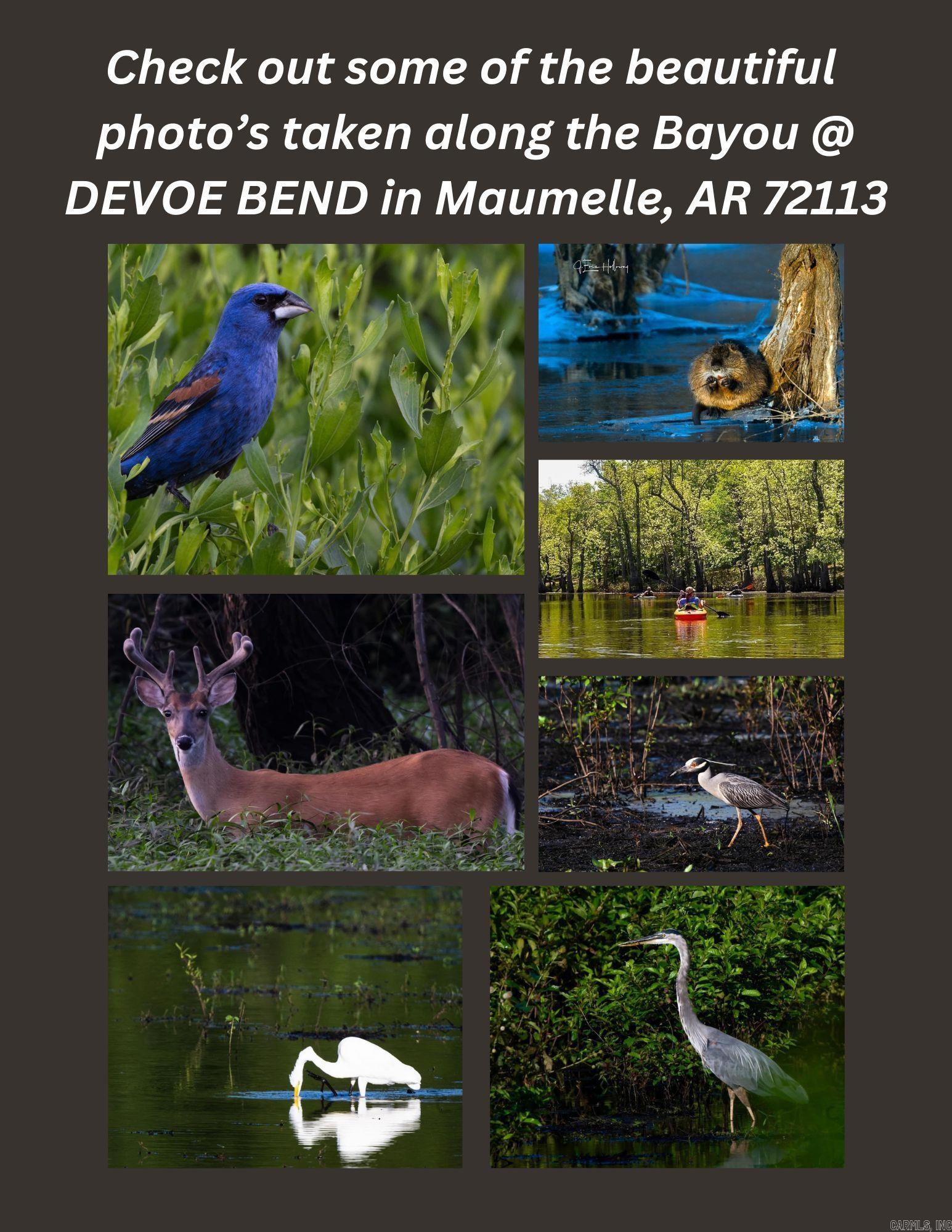 DEVOE BEND ADDITION - Land