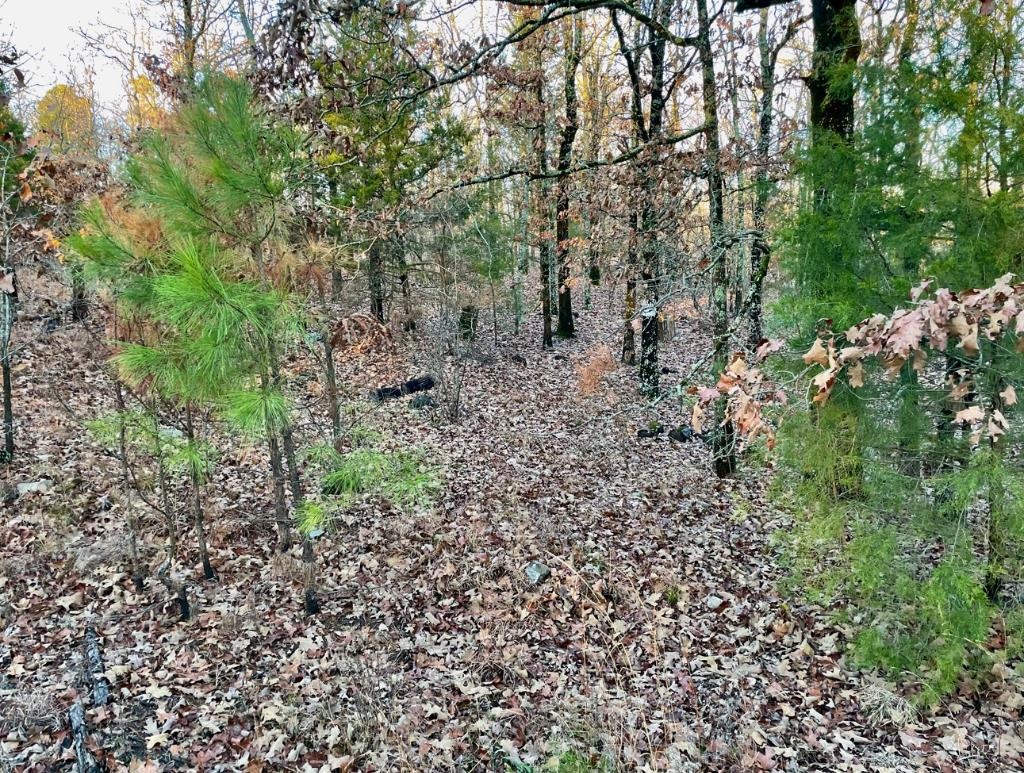 Whisperwood Heights - Land