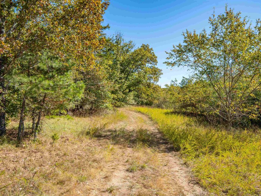 OFF-GRID 20 BEAUTIFUL WOODED ACRES FULL OF WHITETAIL DEER AND TURKEY! PRIVATE AND SERENE SURROUNDED BY 1000'S OF ACRES OF FOREST! NATURE WATCH OR FISH OUT OF THE SPRINGFED POND! THIS ONE IS ABOUT 20 MINUTES FROM LAKE OUACHITA AT NORTHSHORES LAUNCH RAMP! CALL TO SCHEDULE YOUR SHOWING!