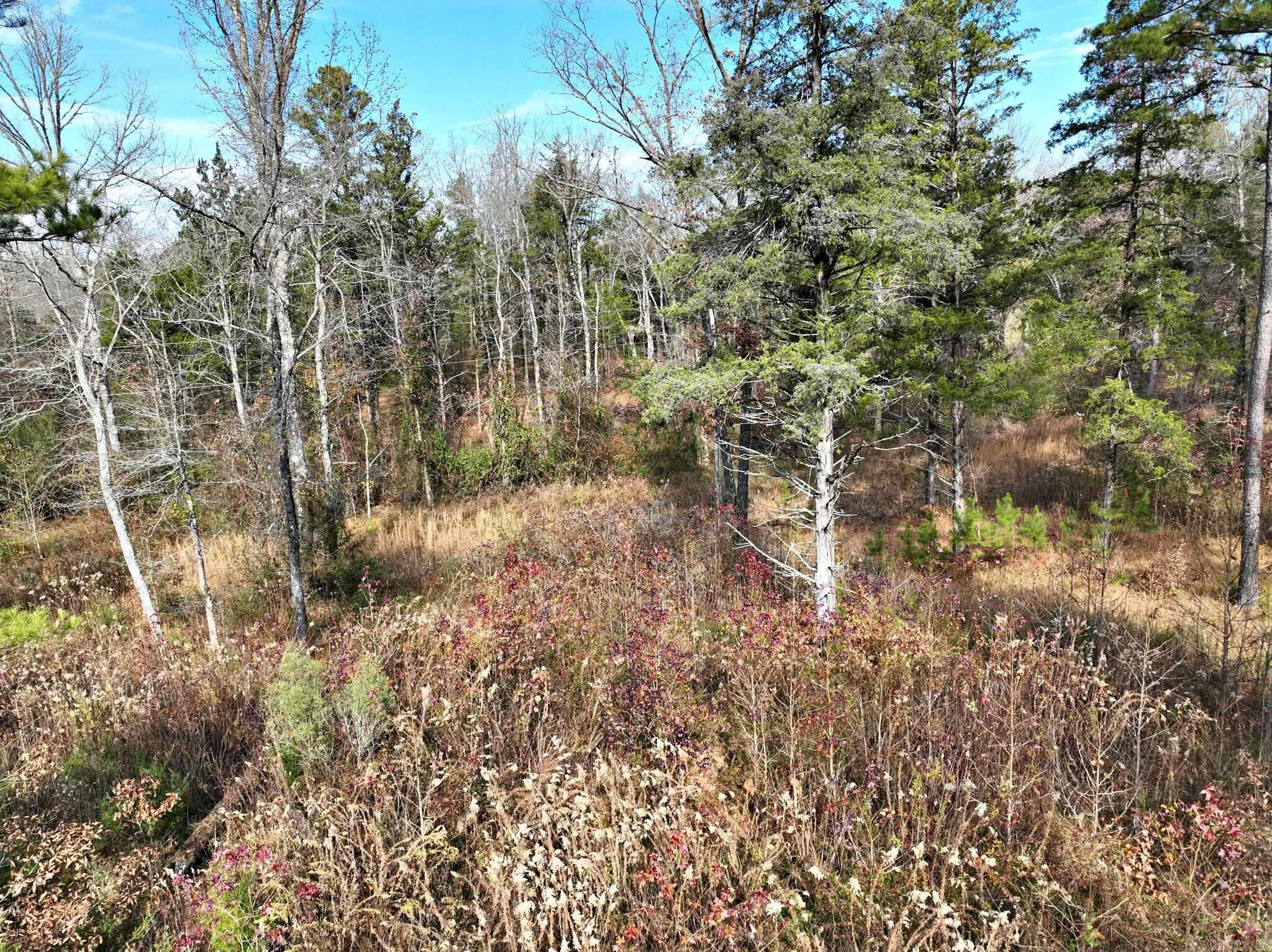 Big Fork - Land