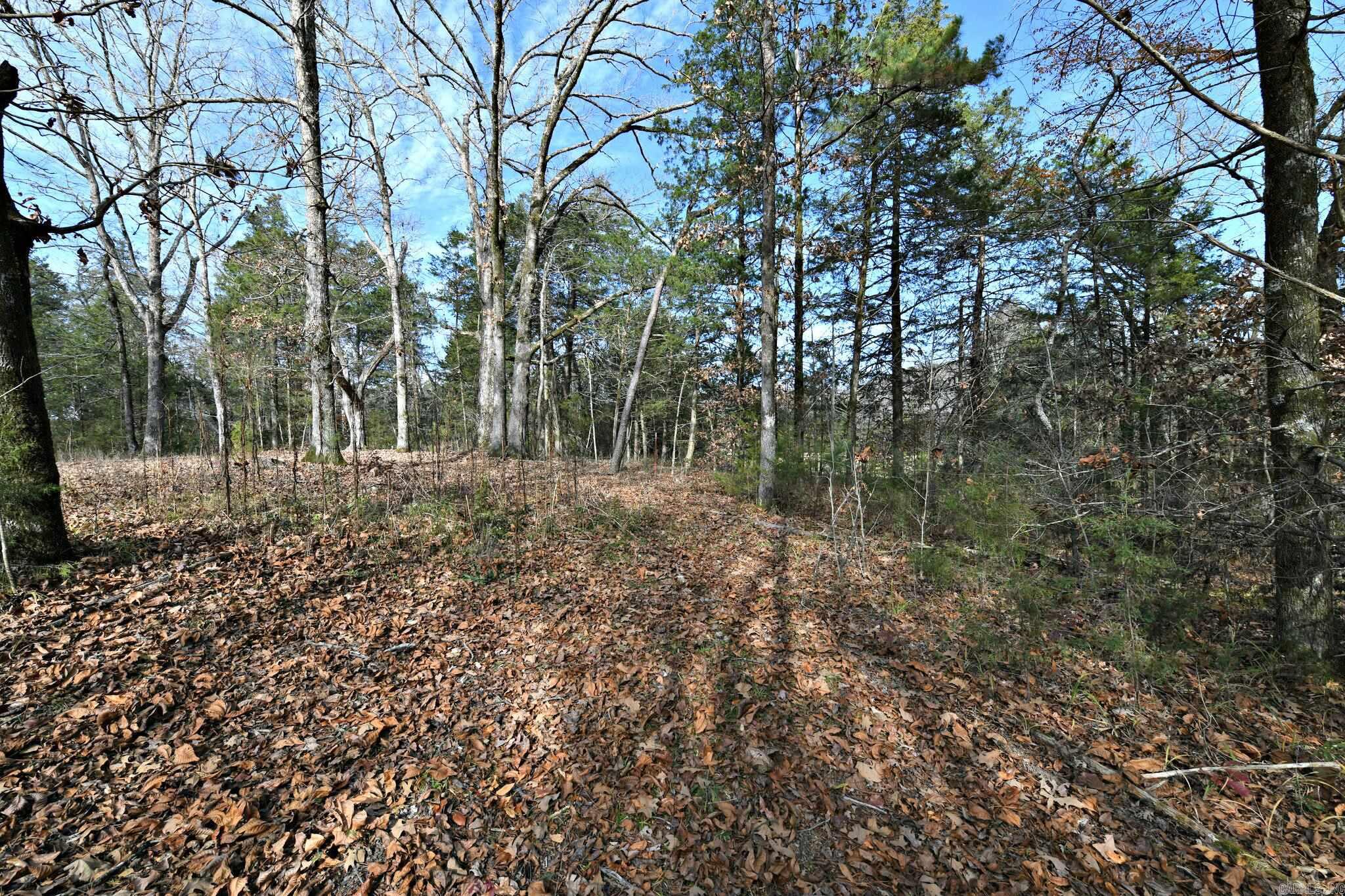 Big Fork - Land