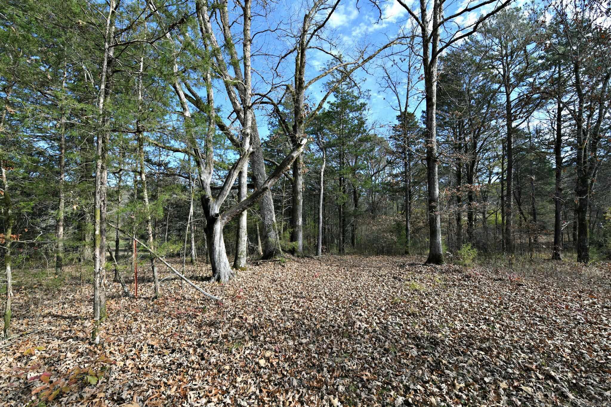 Big Fork - Land