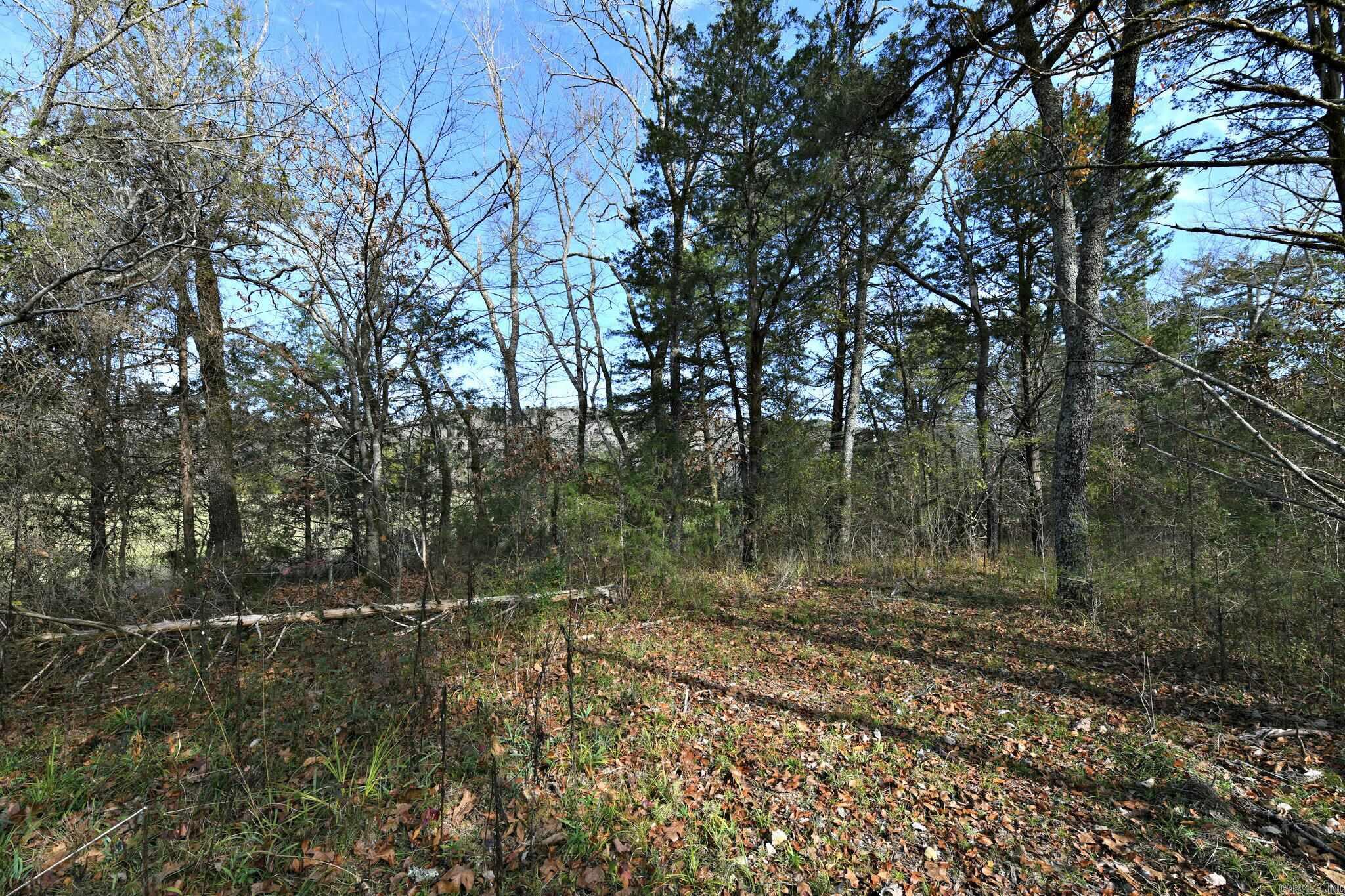 Big Fork - Land