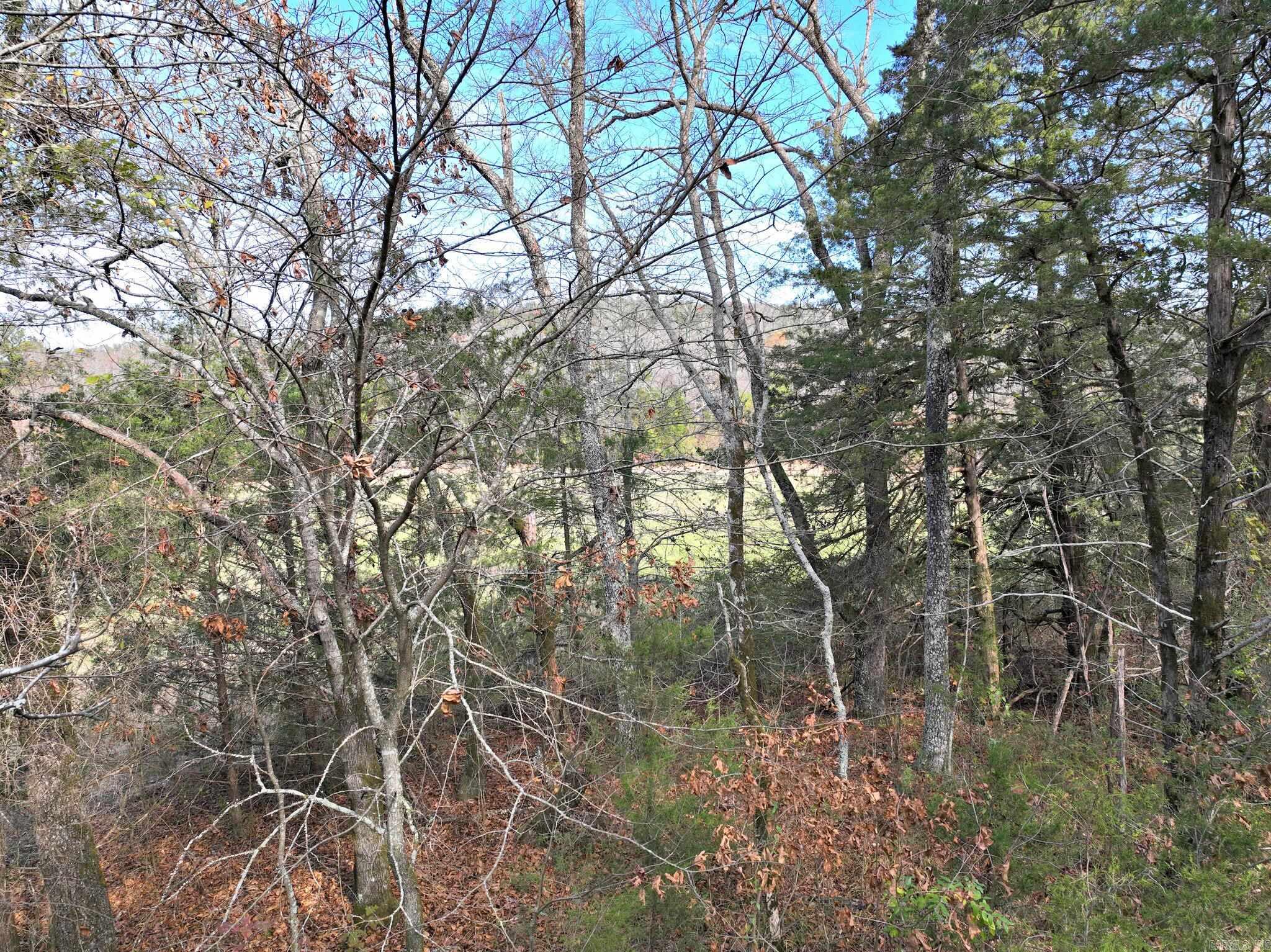 Big Fork - Land