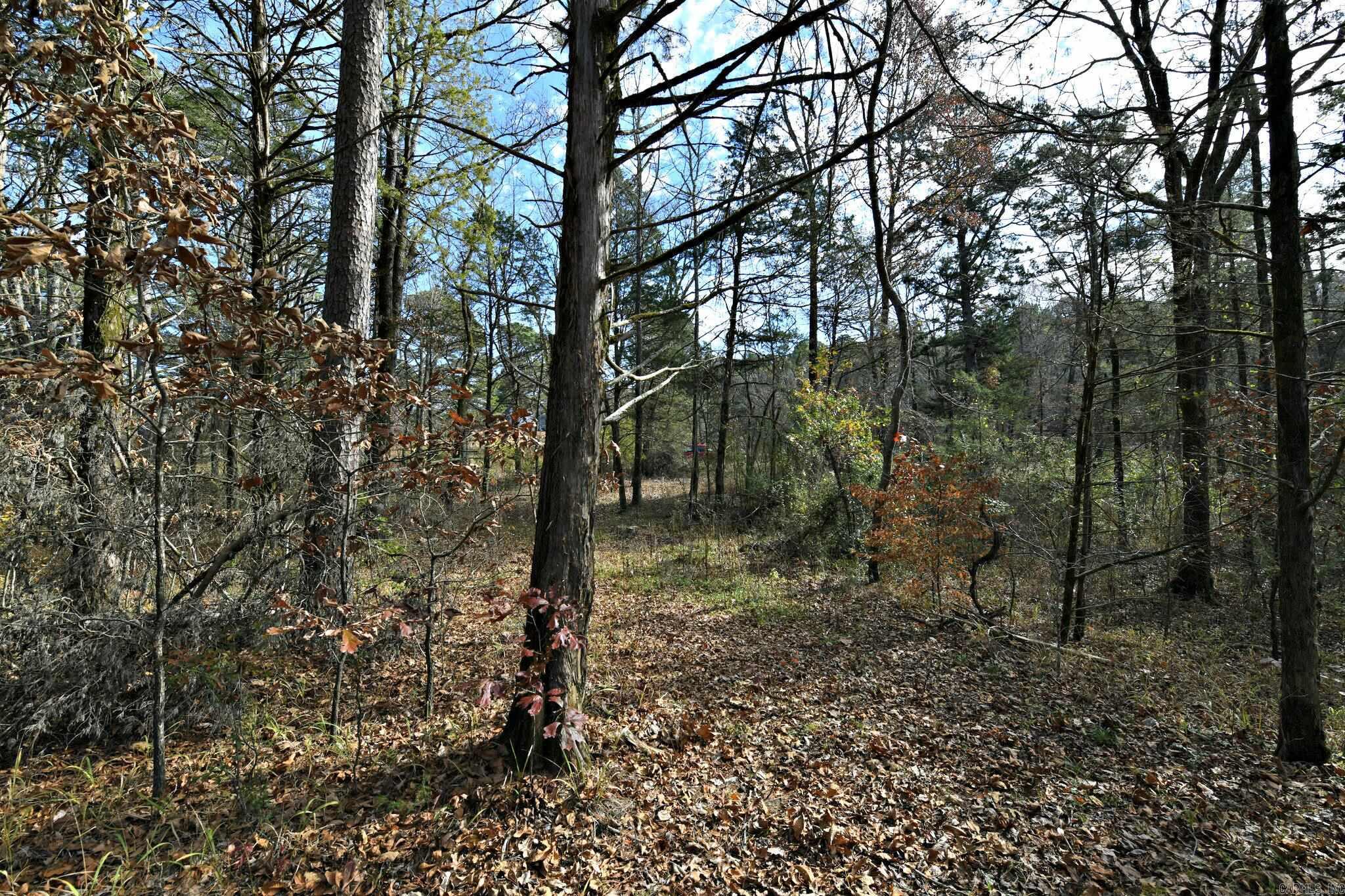 Big Fork - Land