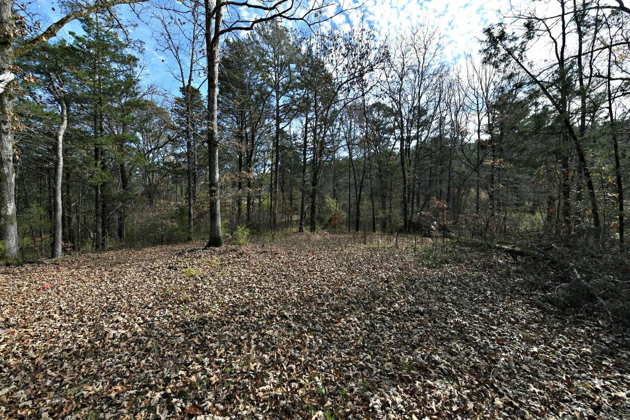 Big Fork - Land