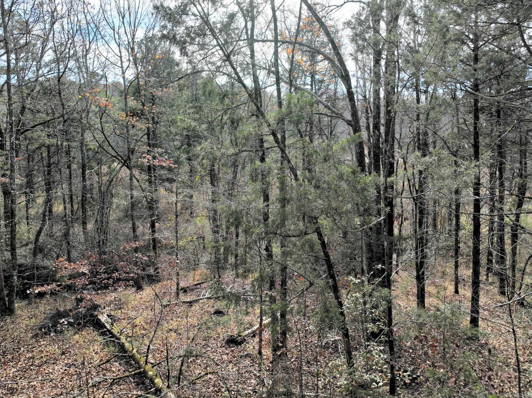 Big Fork - Land