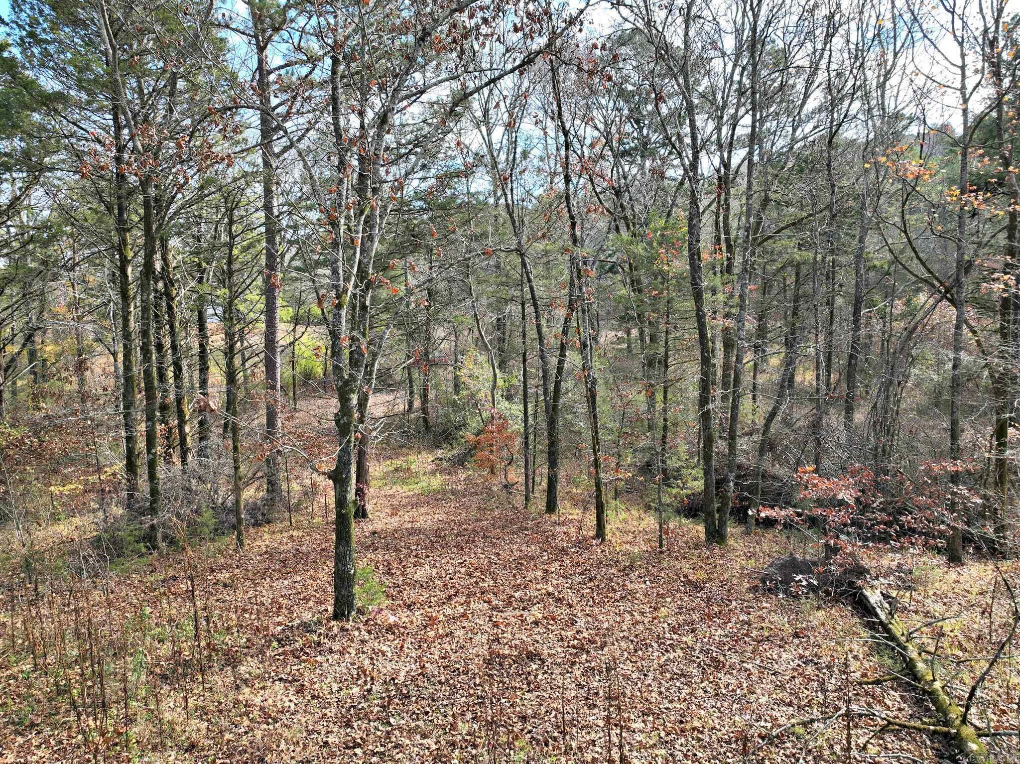 Big Fork - Land