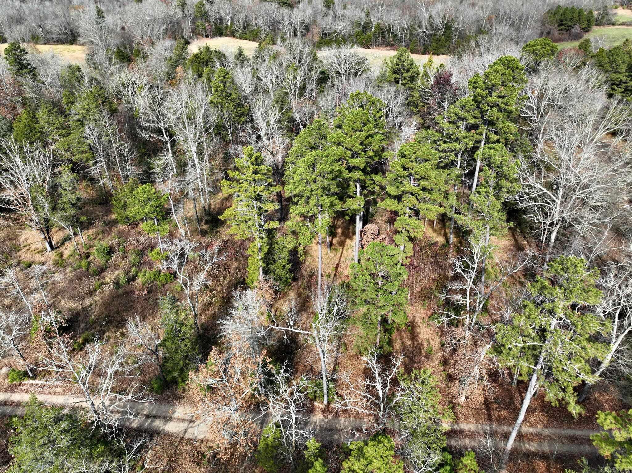 BUILD HERE Discover the perfect spot to build your getaway cabin or permanent home on this beautiful 5.28-acre property! Nestled near scenic ATV trails and offering easy access to a variety of recreational activities, this land is ideal for outdoor enthusiasts and nature lovers alike. The property is located close to the breathtaking Ouachita National Forest Service land, providing ample opportunities for hiking, wildlife viewing, and exploration. Imagine waking up to the serene sounds of nature, surrounded by lush greenery and trees. Some deed restrictions apply. Whether you're looking to build a cozy cabin for weekend escapes or a permanent residence where you can immerse yourself in nature, this property offers the perfect canvas for your vision. Additional lots available with differing acreage and prices. Good spot to build a pond.