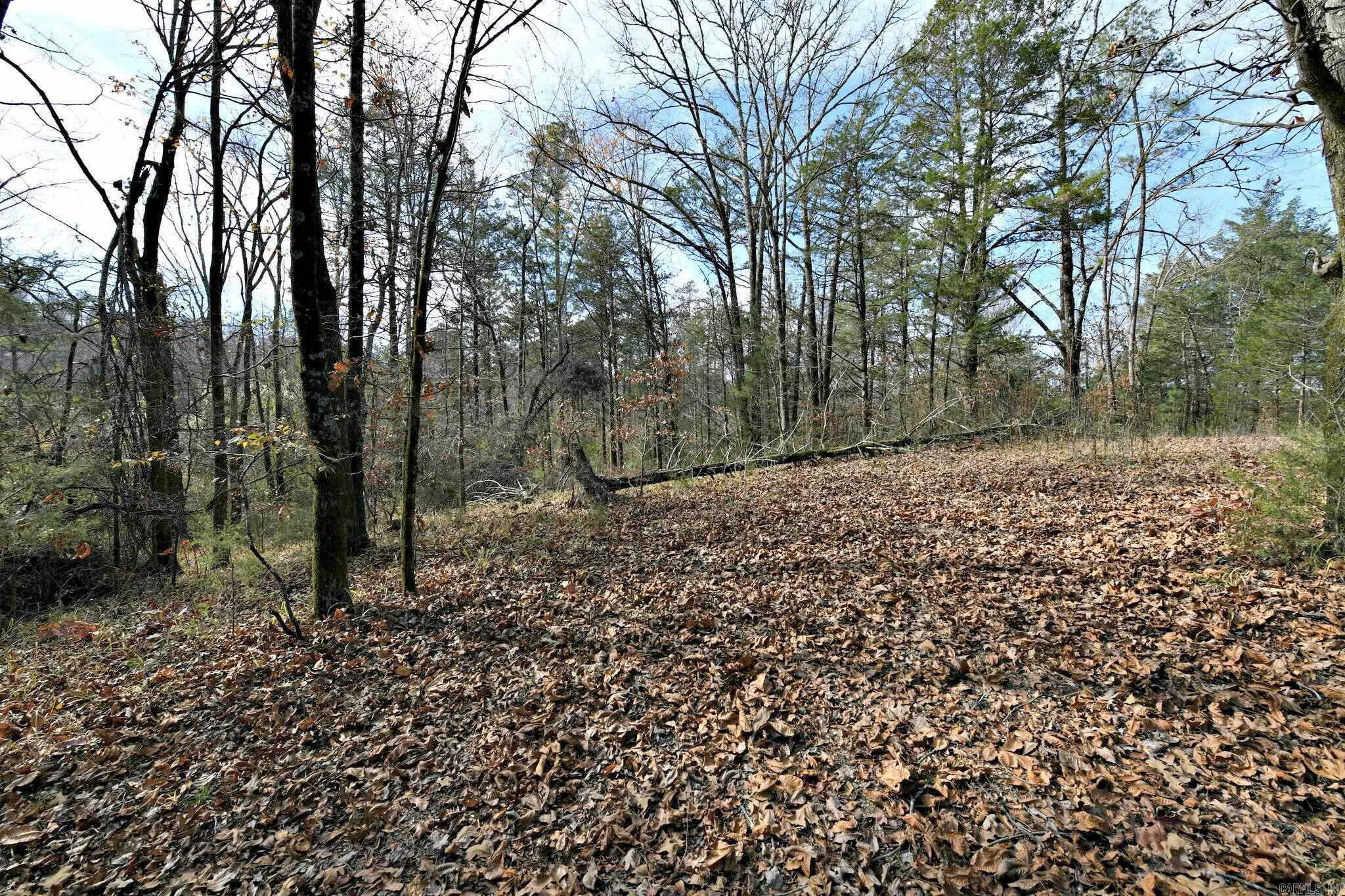 Big Fork - Land