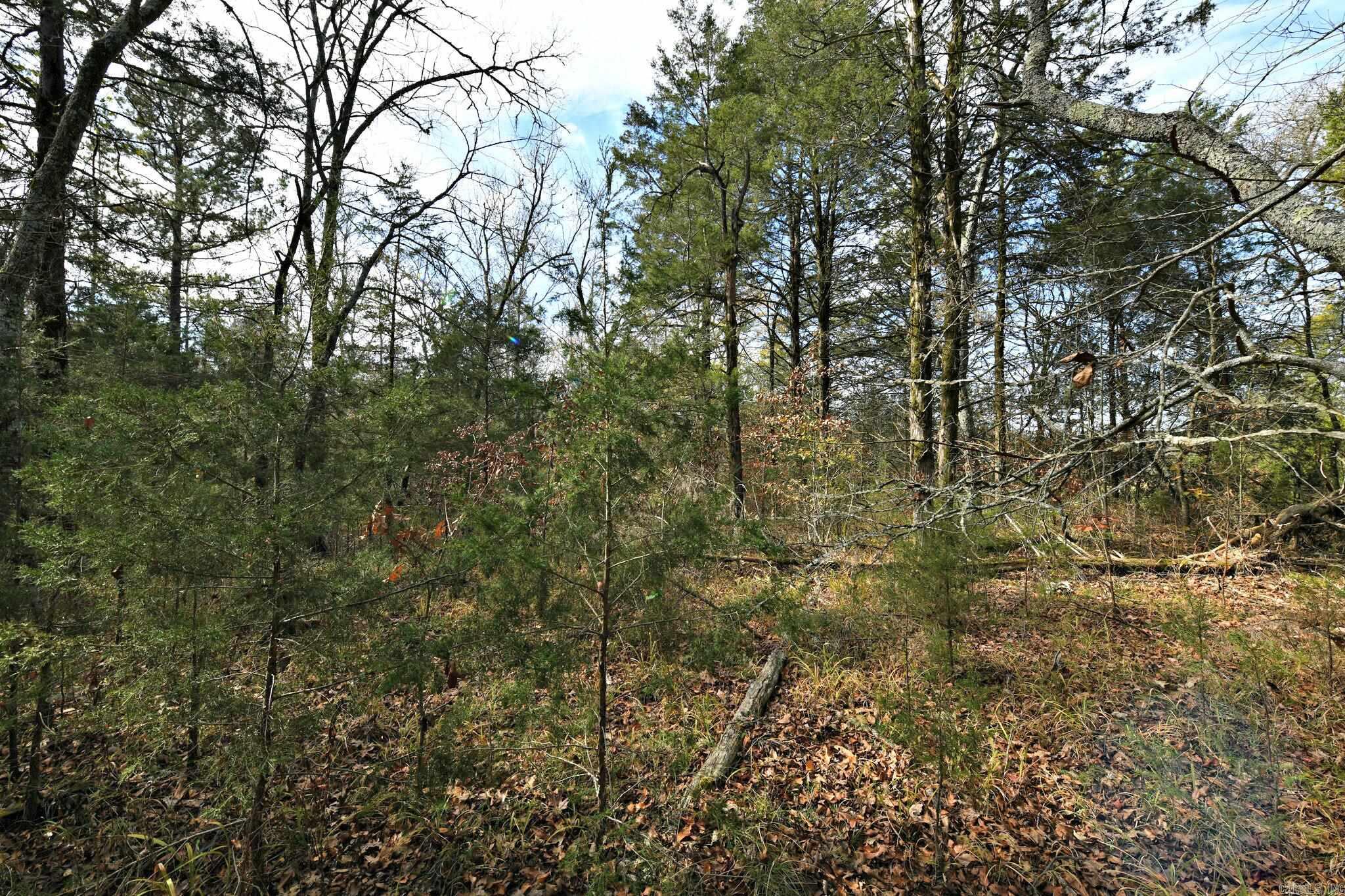 Big Fork - Land