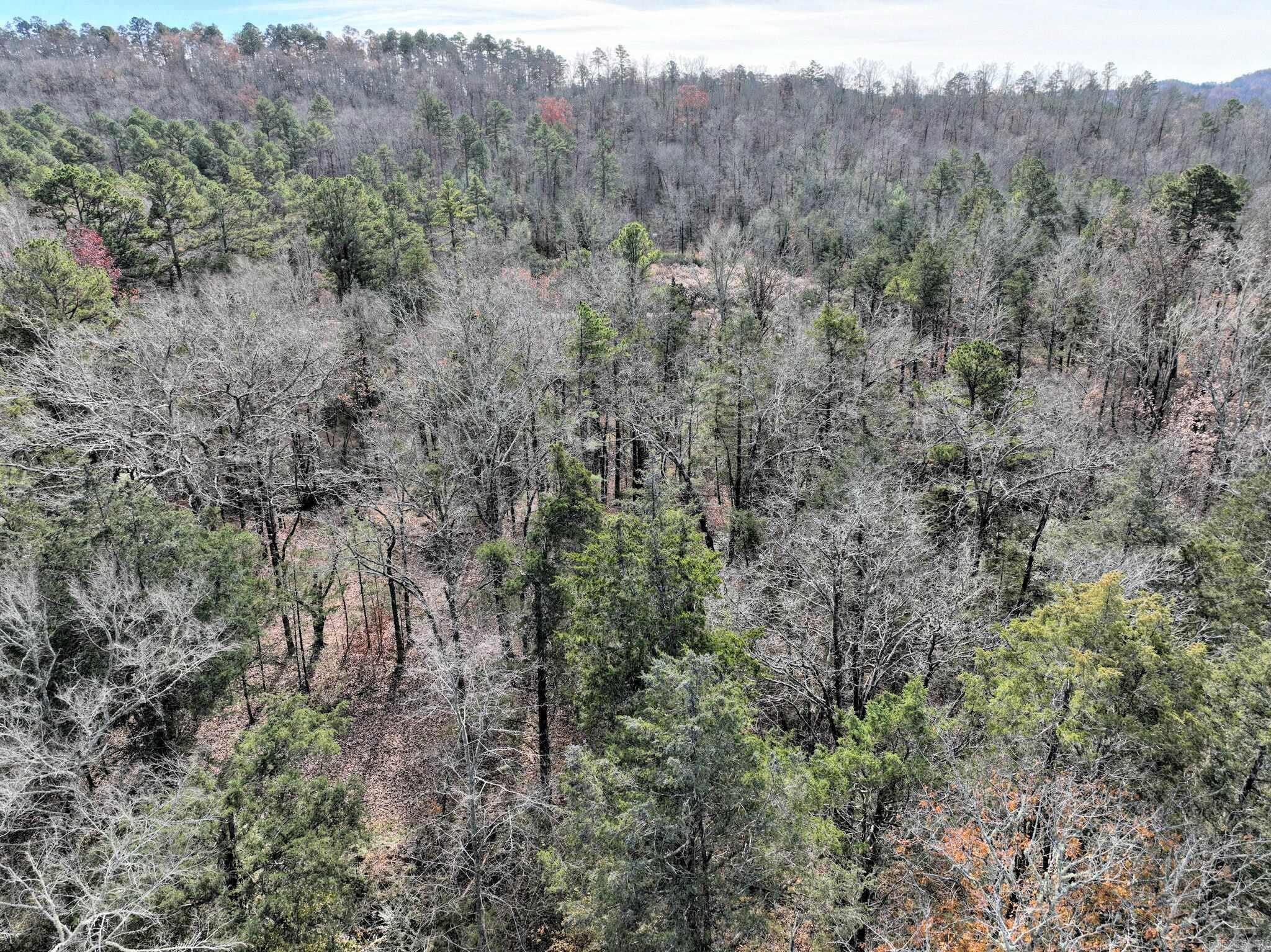 Big Fork - Land