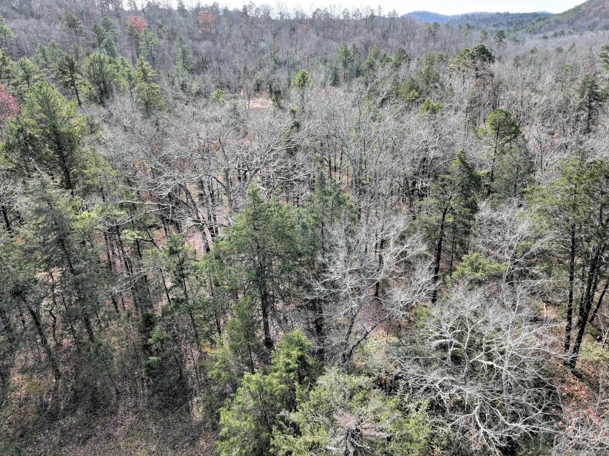 Big Fork - Land