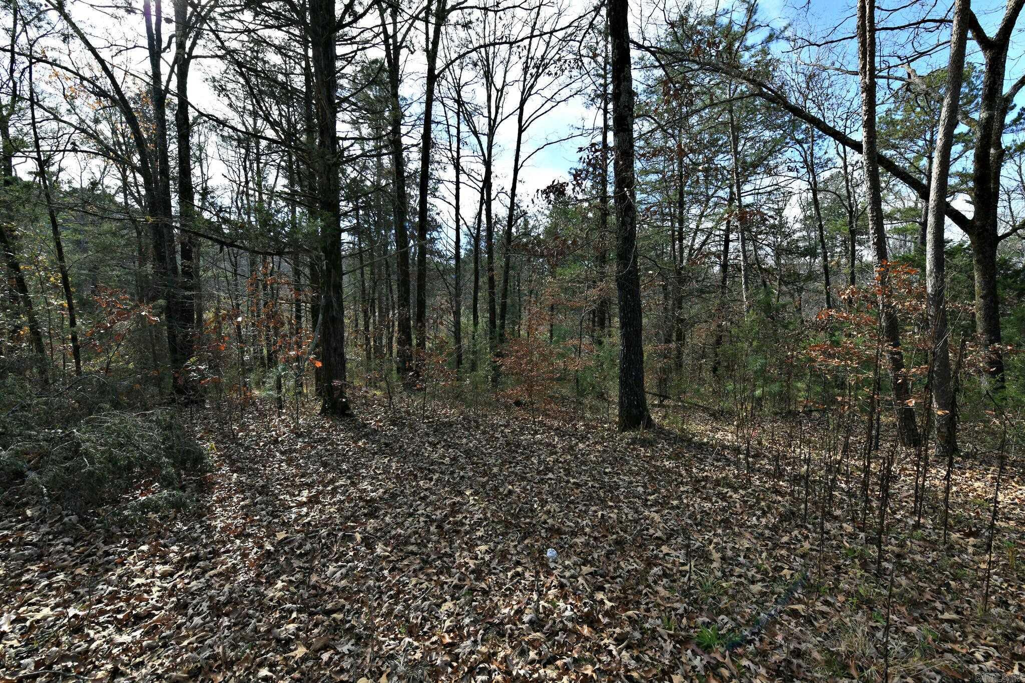 Big Fork - Land