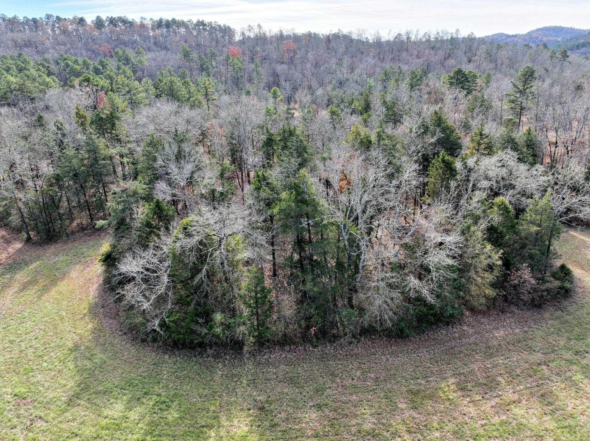 Big Fork - Land