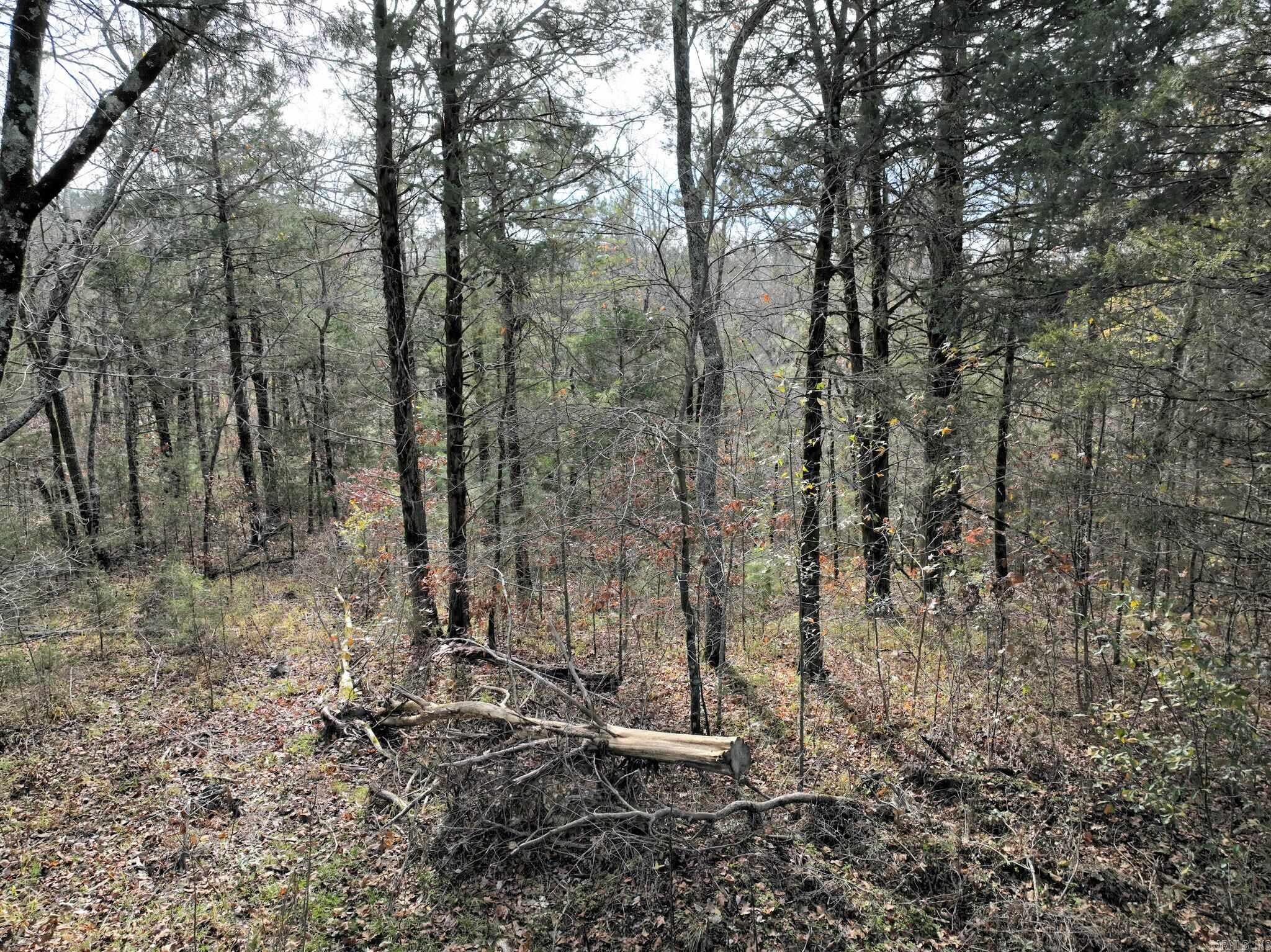 Big Fork - Land