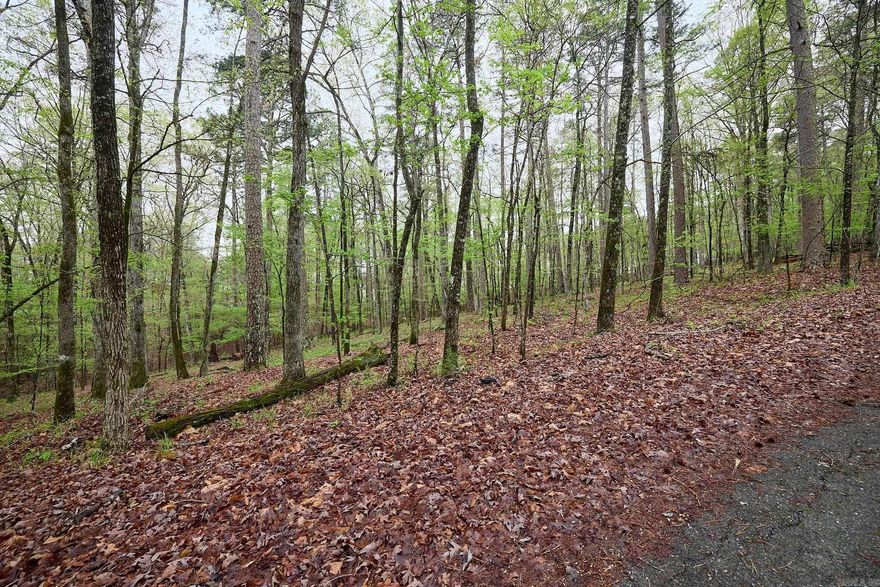 Lovely lot in Hot Springs Village close to Lake Cortez! A great location to build your dream home! Enjoy all that Hot Springs Village has to offer; 11 recreational lakes, 9 golf courses, biking and hiking trails, churches, shopping and all surrounded by the natural beauty of the Ouachita Mountains!
