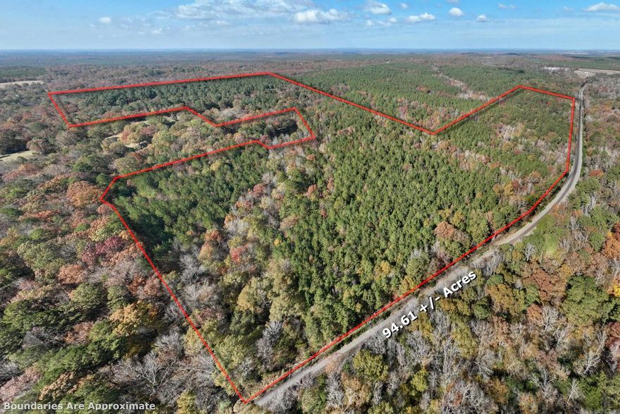 Discover the potential of this versatile 95.61 +/--acre tract near beautiful De Queen Lake. Offering immediate income potential and endless possibilities for future development, this property is ideal for investors, recreational buyers, developers, or those seeking a private getaway with long-term upside. With close proximity to the lake, the location creates a strong appeal for recreational use, hunting retreats, cabin development, or future homesites.  The acreage offers flexibility for multiple uses, including timber investment, recreational development, agricultural use, or the opportunity to subdivide into smaller tracts for resale or residential development. Whether you are looking to create a lake-area retreat community, build private homesites, establish a hunting property, or hold it as a long-term investment, this property delivers opportunity and versatility in a highly desirable area.