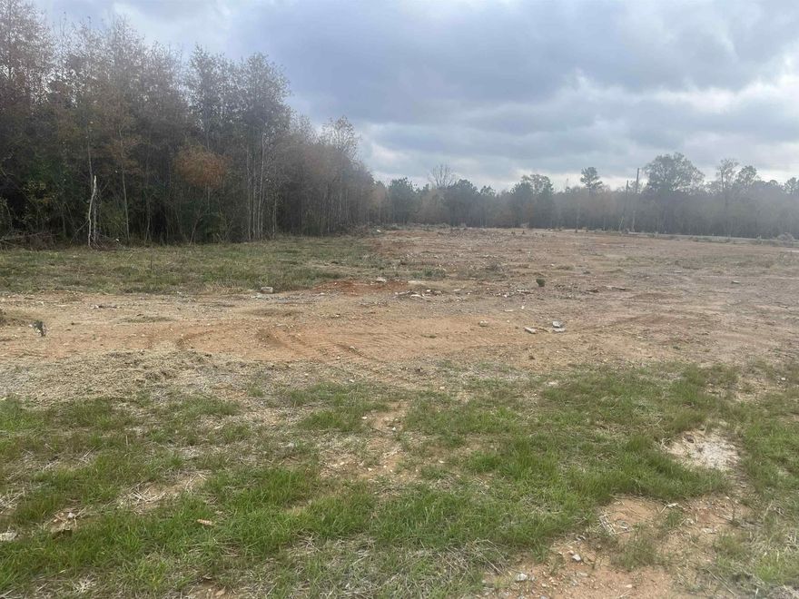 New lots in Creekside Subdivision. Best location in Bryant. Mostly cleared and ready to build. Plat and Bill of Assurance in docs. New street, address will not GPS. Use 6150 Creekwater, Alexander, AR.