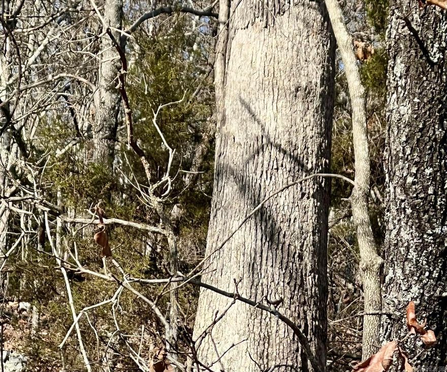ACREAGE/RECREATIONAL/HUNTING  4.48 Surveyed and marked woods in the North Arkansas hills not far from various Spring River access’s. Acreage has level area’s along county road and slopes southerly to a secondary road  on the back side for ideal in ground homesites. Electric along county road. Come camp, hunt, enjoy nature until you are able to make it your future home. Broker owned offering @ $24,900.