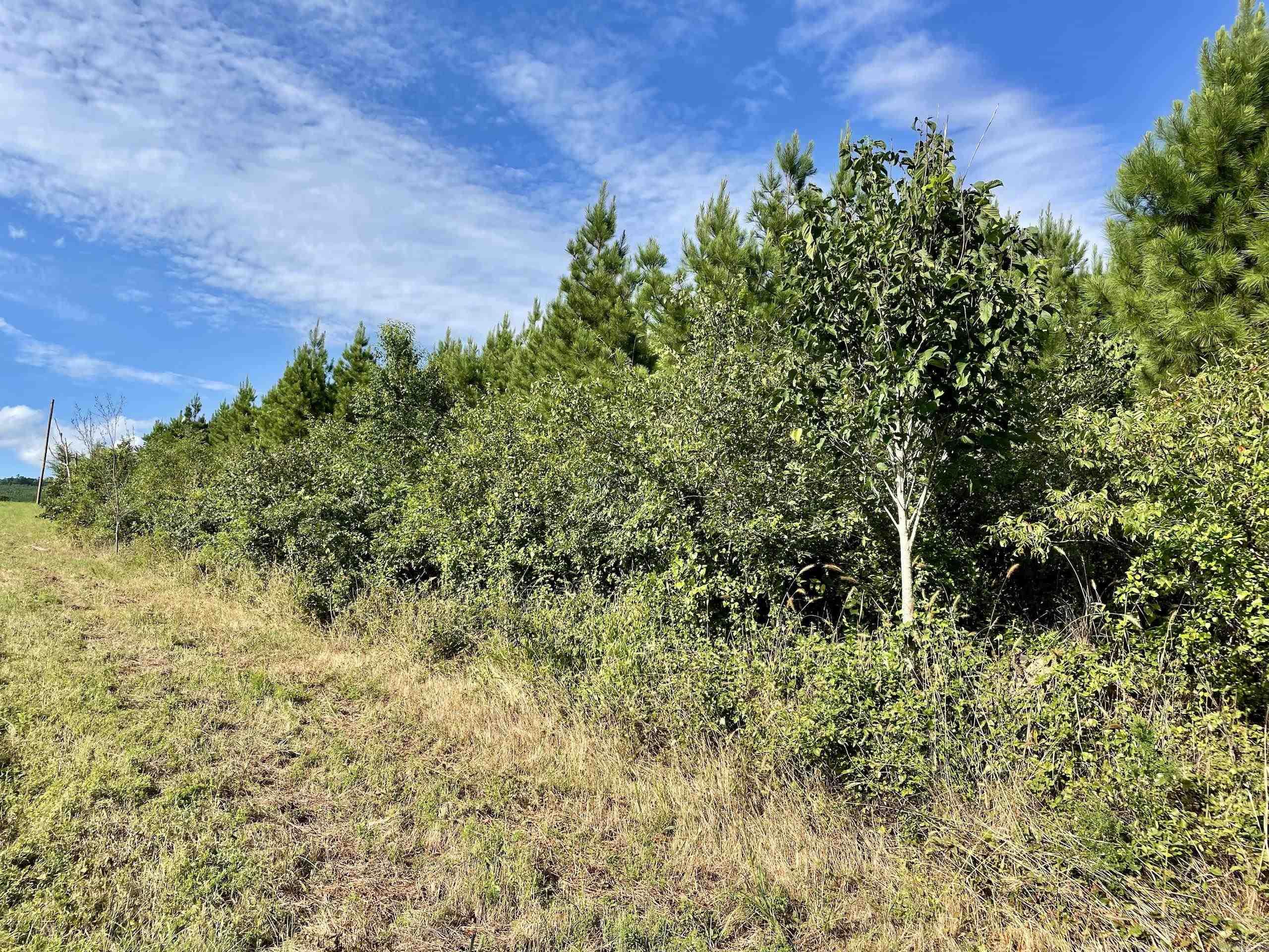 Not in Subdivision - Land