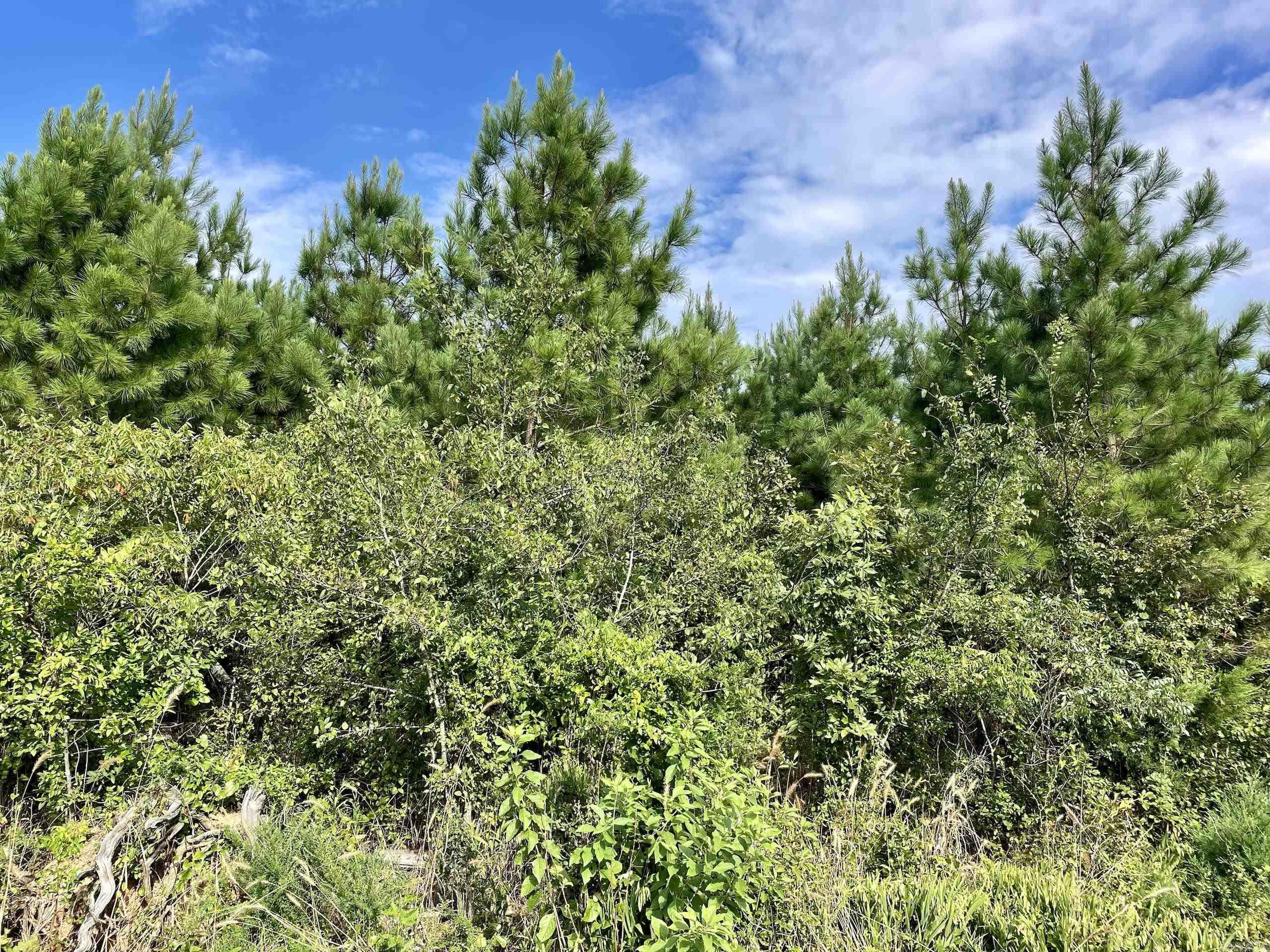 Not in Subdivision - Land