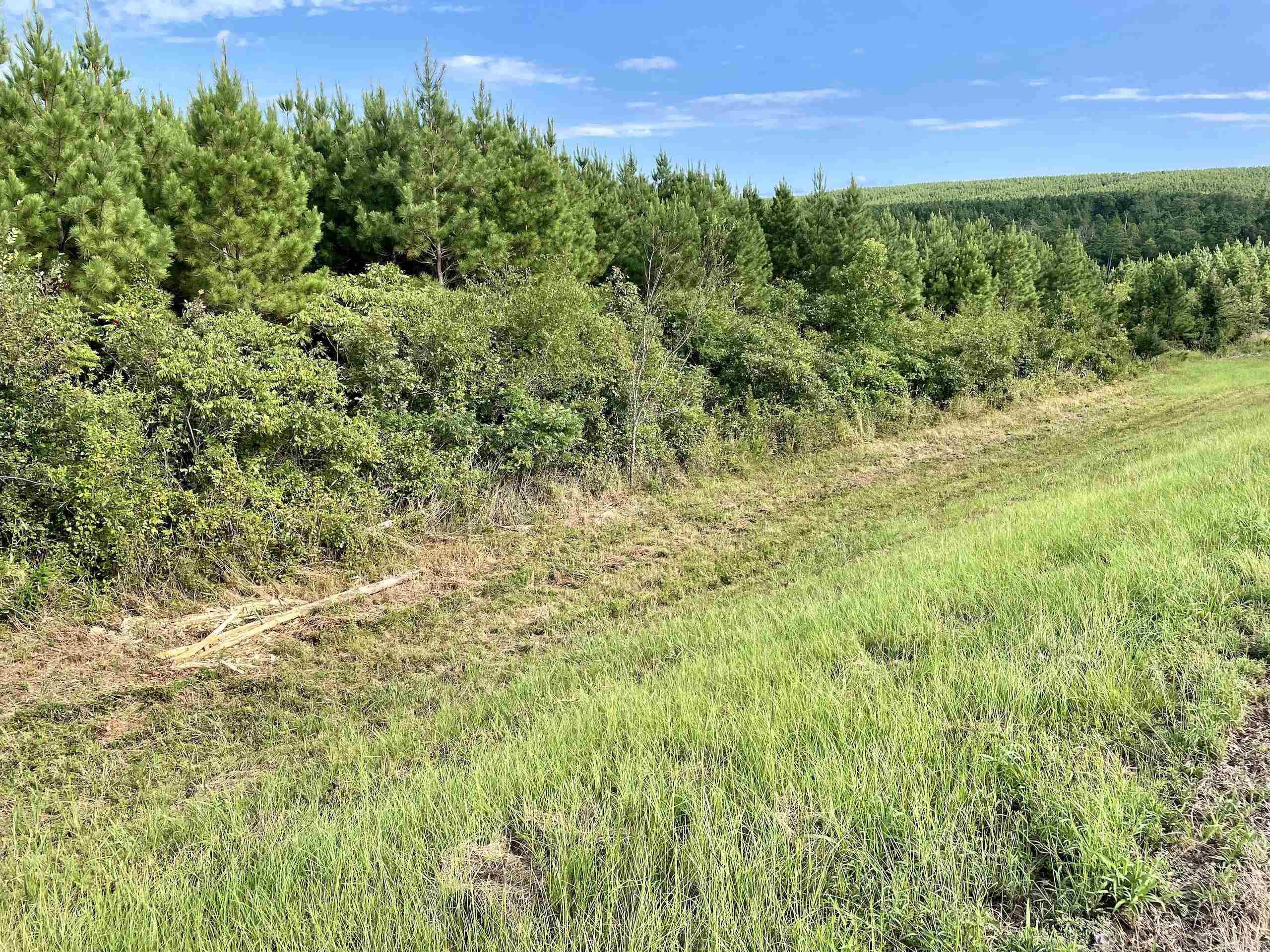 Not in Subdivision - Land