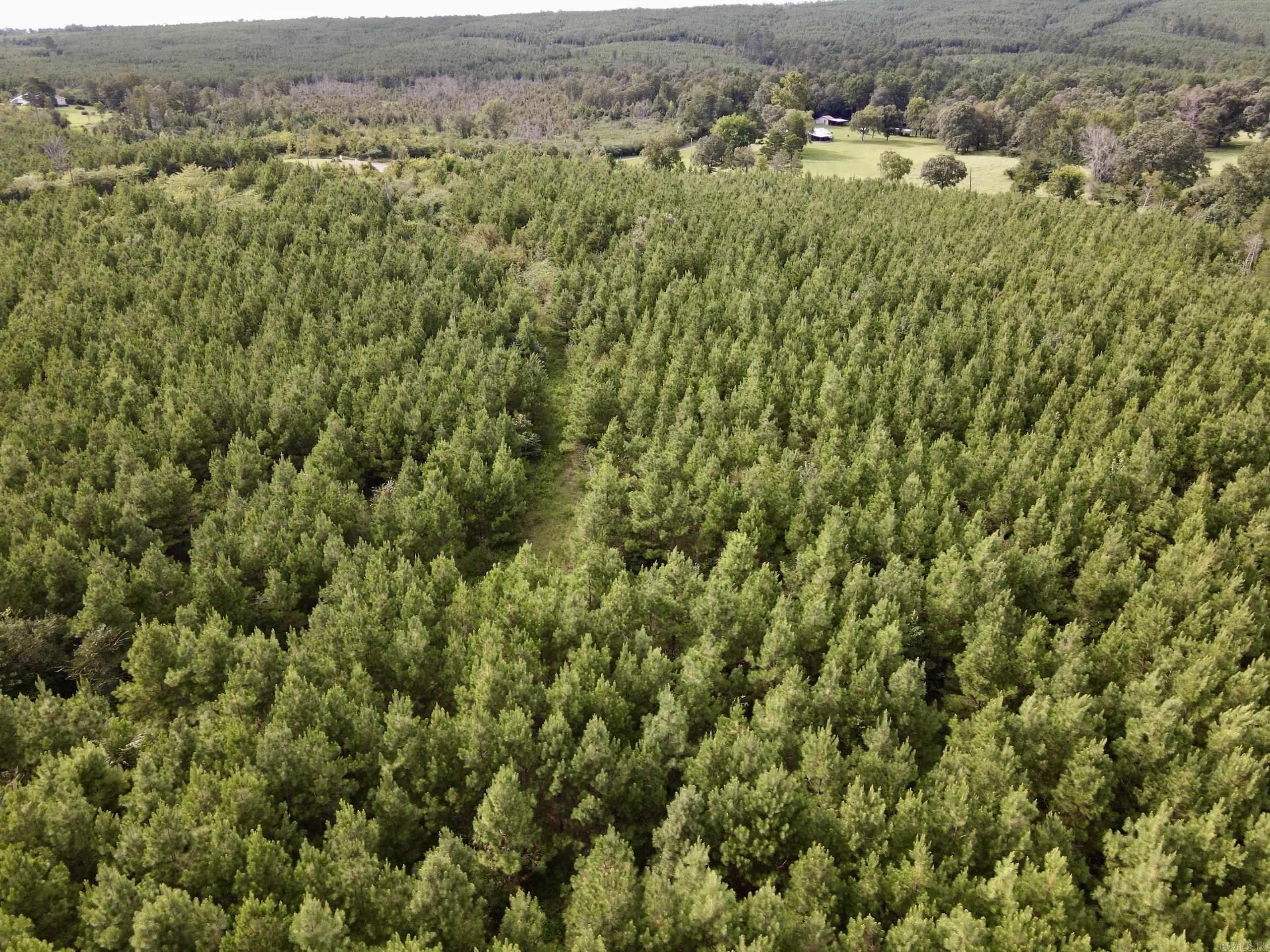 This gently sloping property has of HWY 155 frontage and could have several building sites to choose from. The pine plantation appears to be about 4-5 years old and can provide a nice longterm return on your investment. Rose Creek flows across the southern portion of the property and has a nice deep pool to fish or swim in. Petit Jean State Park and the Petit Jean River Wildlife Management area area a short distance away and provide excellent recreational opportunities. Petit Jean State Park has camping, hiking, boating and even an airstrip. Petit Jean River Wildlife Management Area has great hunting for Deer Turkey and Waterfowl. In fact there are excellent views of Petit Jean Mountain from this beautiful property.