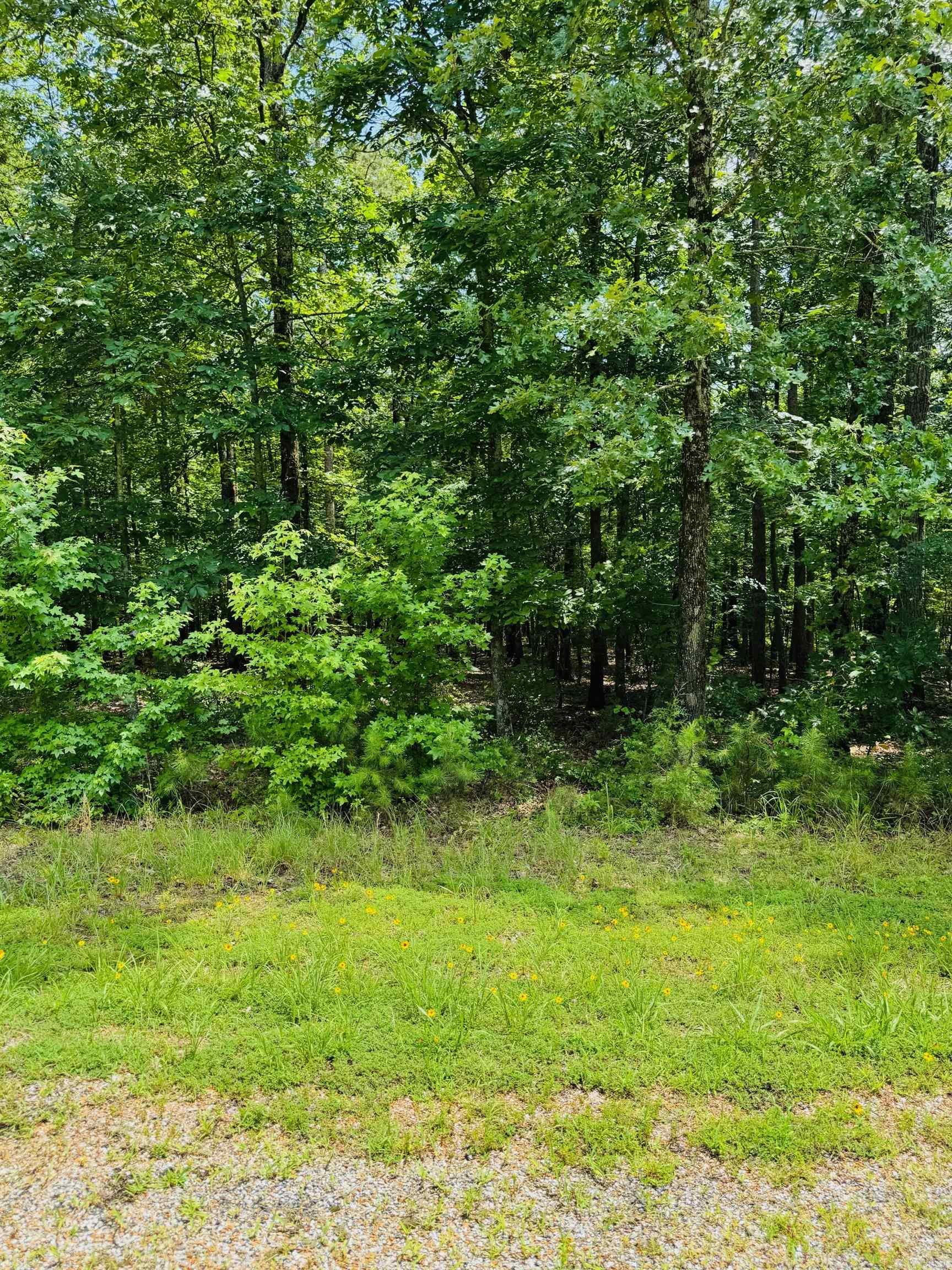 Are you dreaming of retreating to the beautiful Little Red River? This picturesque land is the perfect place to build your cozy dream home. Escape the hustle and enjoy a quiet community that offers a private community pool, boat ramp and dock on the Little Red River and minutes away from Greers Ferry Lake! This gated community offers modern amenities, access to hiking trails, boating, swimming and world-record trout fishing. Access to all the Natural State has to offer is only an offer away. Let us make your dream a reality!