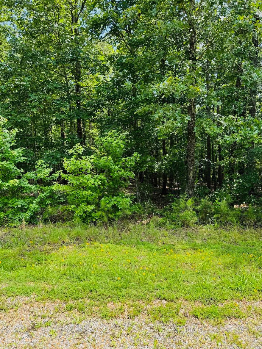Are you dreaming of retreating to the beautiful Little Red River? This picturesque land is the perfect place to build your cozy dream home. Escape the hustle and enjoy a quiet community that offers a private community pool, boat ramp and dock on the Little Red River and minutes away from Greers Ferry Lake! This gated community offers modern amenities, access to hiking trails, boating, swimming and world-record trout fishing. Access to all the Natural State has to offer is only an offer away. Let us make your dream a reality!