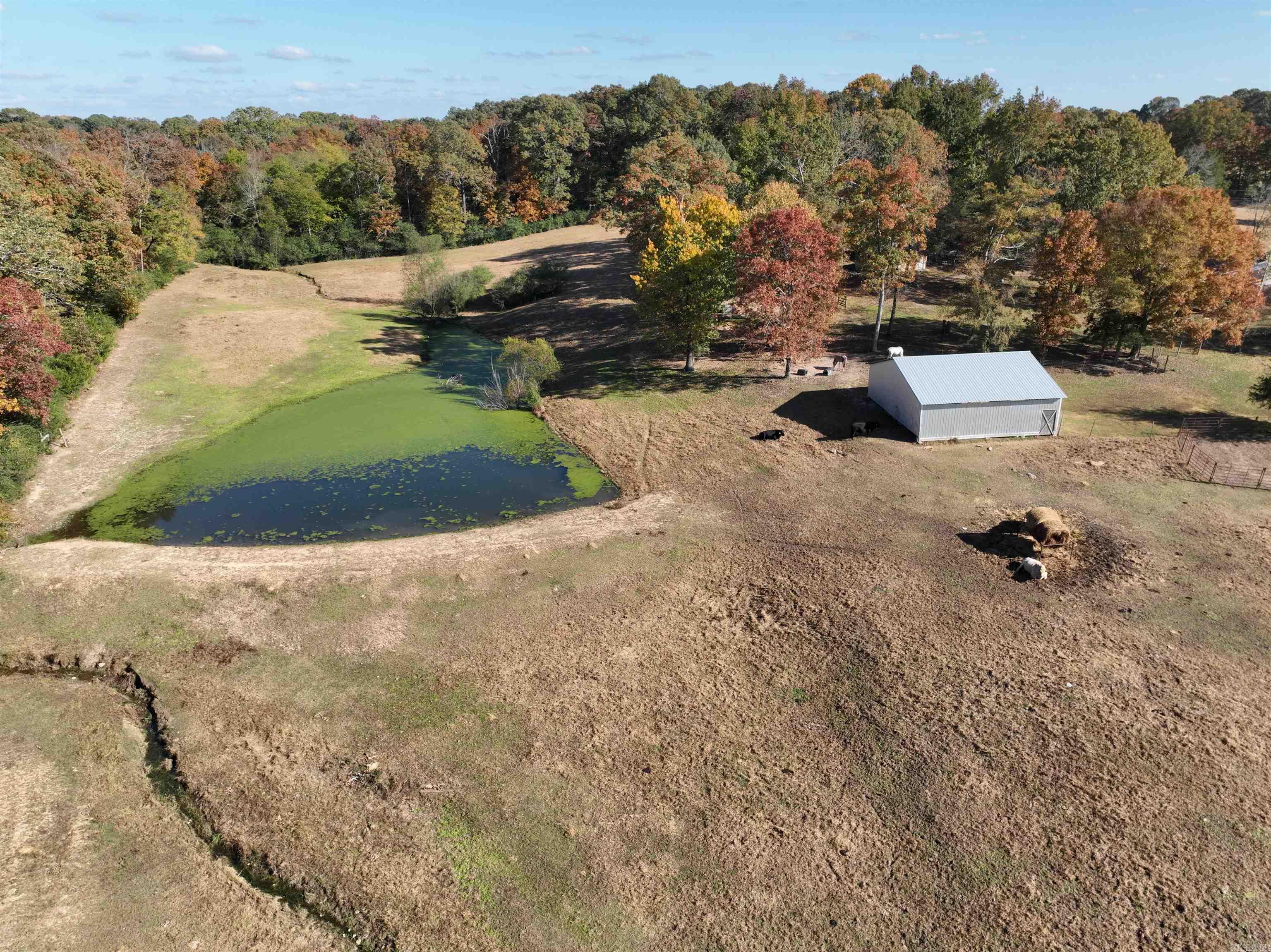 Metes & Bounds - Farm