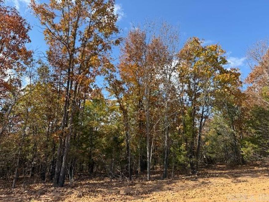Wooded lot perfect for building your home or building a home to sale.  You could leave trees at the back of the lot for privacy.  All utilities are on the property. 1200 sq. ft. minimum