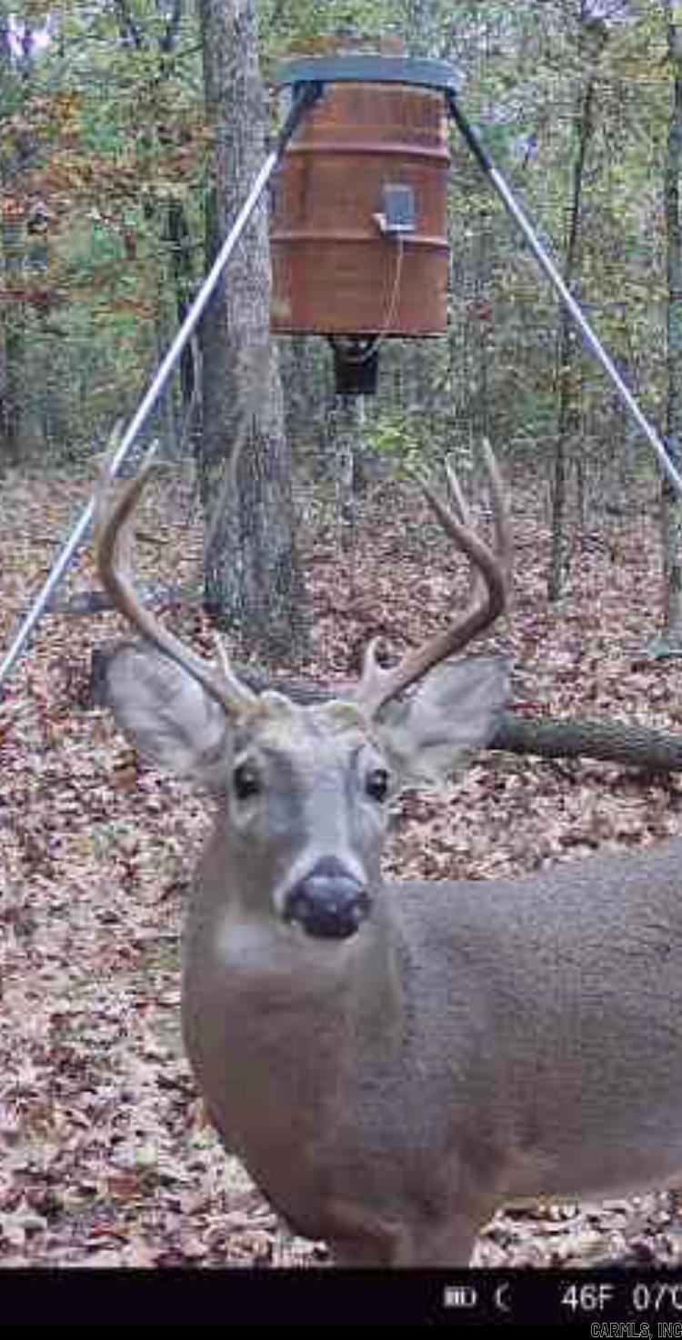 15+- acres with rural water located along the road frontage. Hardwoods with good ATV trail system along the west line. Fully fenced but down in some places. Small clearings with good forage already in place. Good deer and Turkey taken by current owner. Mature White,and Red Oaks with muscadine and morning glory thickets. Gated entrance with excellent parking. This property is suited for a couple of hunters with stands in place that can be negotiated between buyer and seller. Good game trails throughout the property.