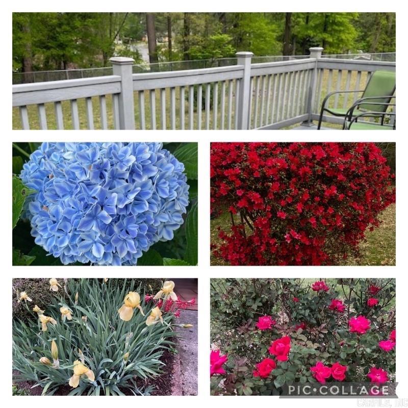 Leewood - Residential