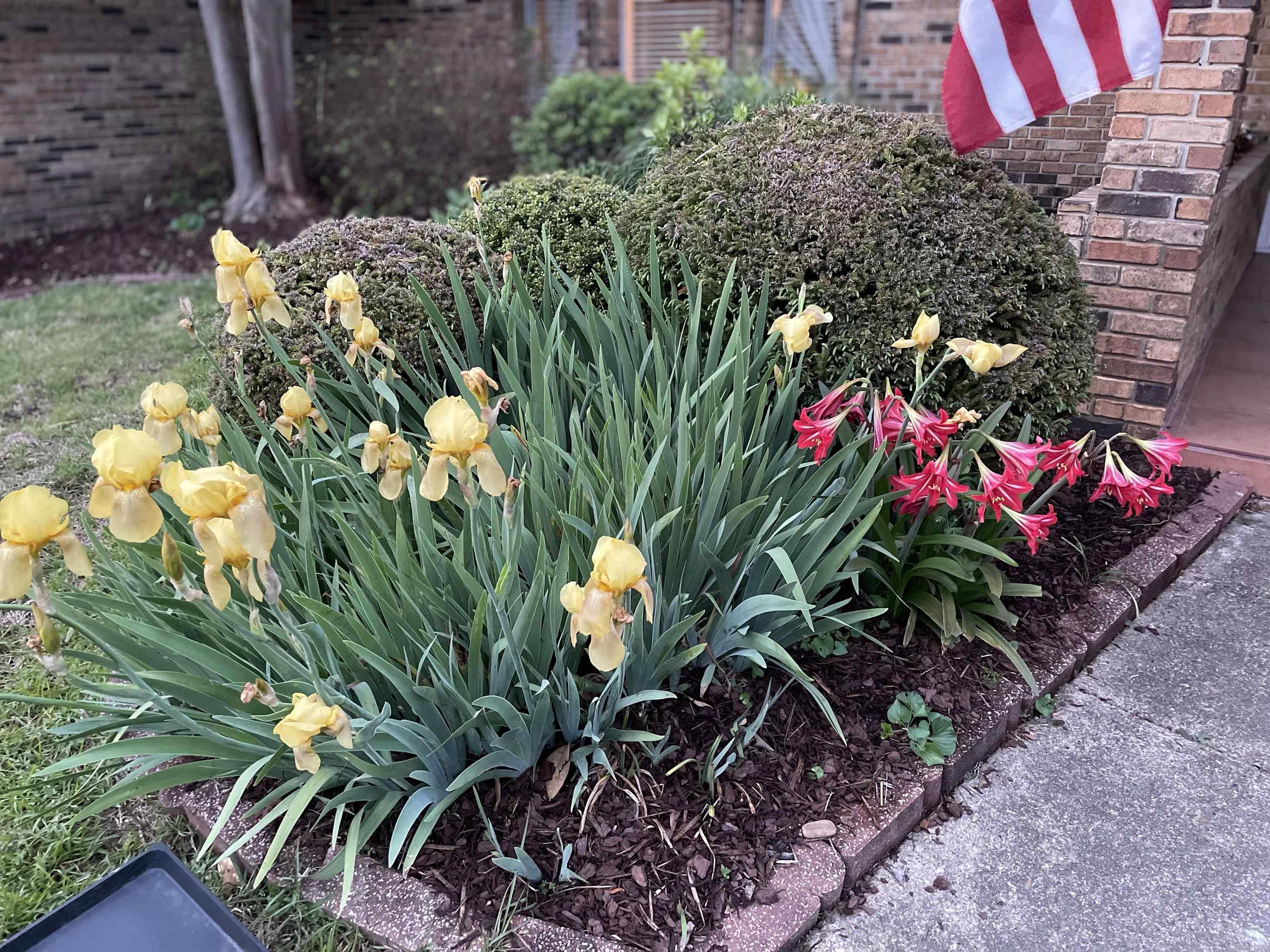 Leewood - Residential