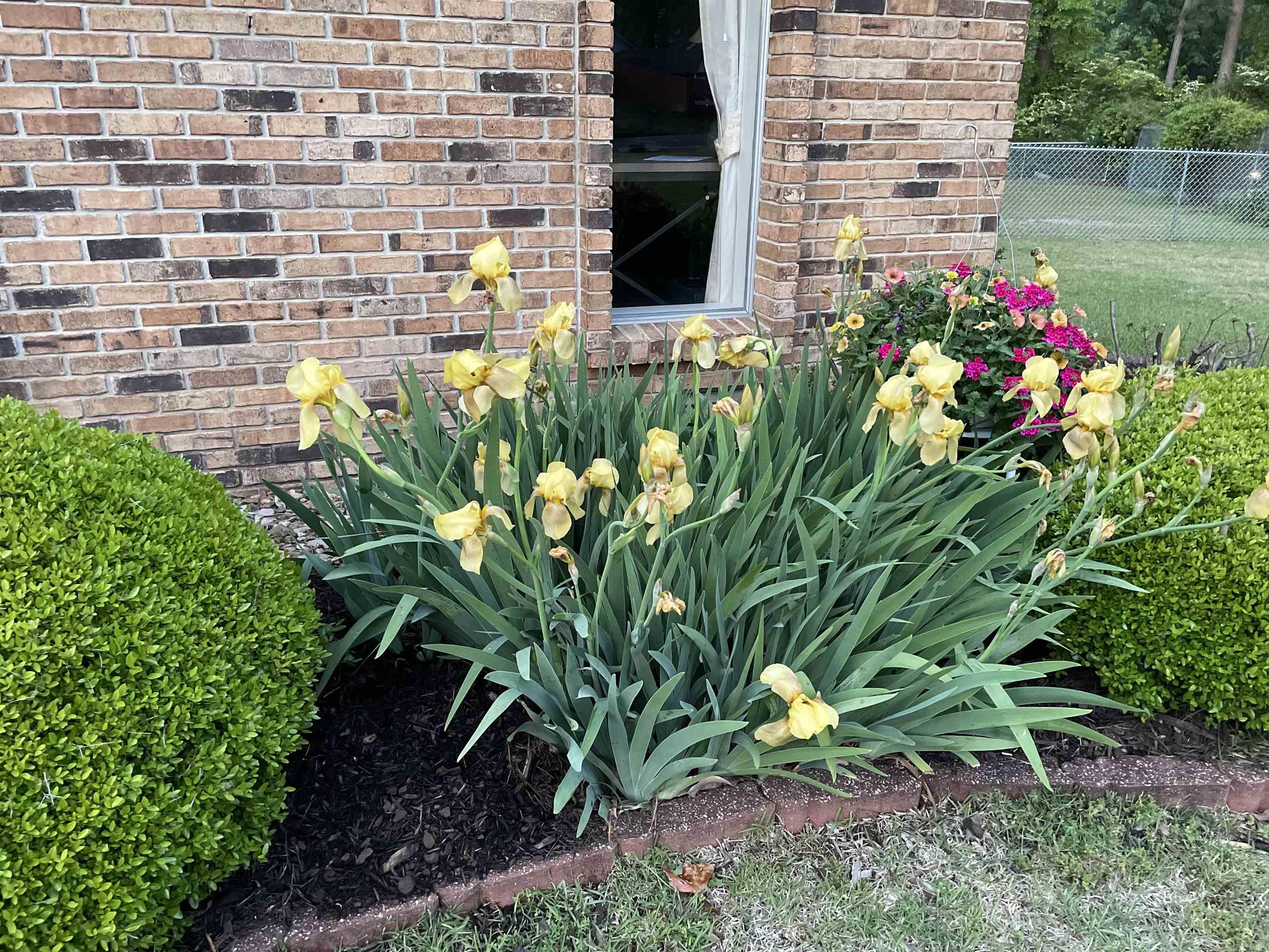 Leewood - Residential