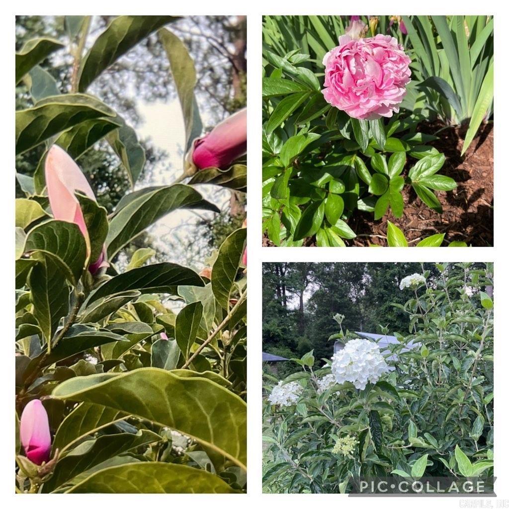 Leewood - Residential