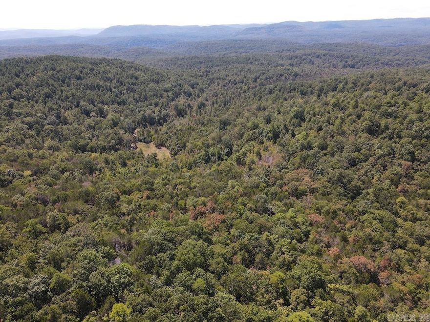 Near the world-renowned White River, this secluded hunting and recreational tract offers the perfect escape for outdoorsmen. Remote and private, it features gently rolling terrain with mature, marketable white oak, red oak, and other hardwoods that provide both timber value and essential wildlife habitat. Whitetail deer, turkey, and black bear thrive here, and the land is known for producing trophy bucks. Two established food plots with custom elevated box blinds, along with a well-maintained ATV trail system, make hunting and access easy. The property is also ideal for building an off-grid cabin, camping, or small-scale homesteading. Beyond hunting, enjoy nearby trout fishing and floating on the White River, with Calico Rock just a short drive away for conveniences. With timber value, abundant wildlife, food plots, and trails, this property delivers year-round recreation, investment potential, and total seclusion in the heart of the Ozarks.