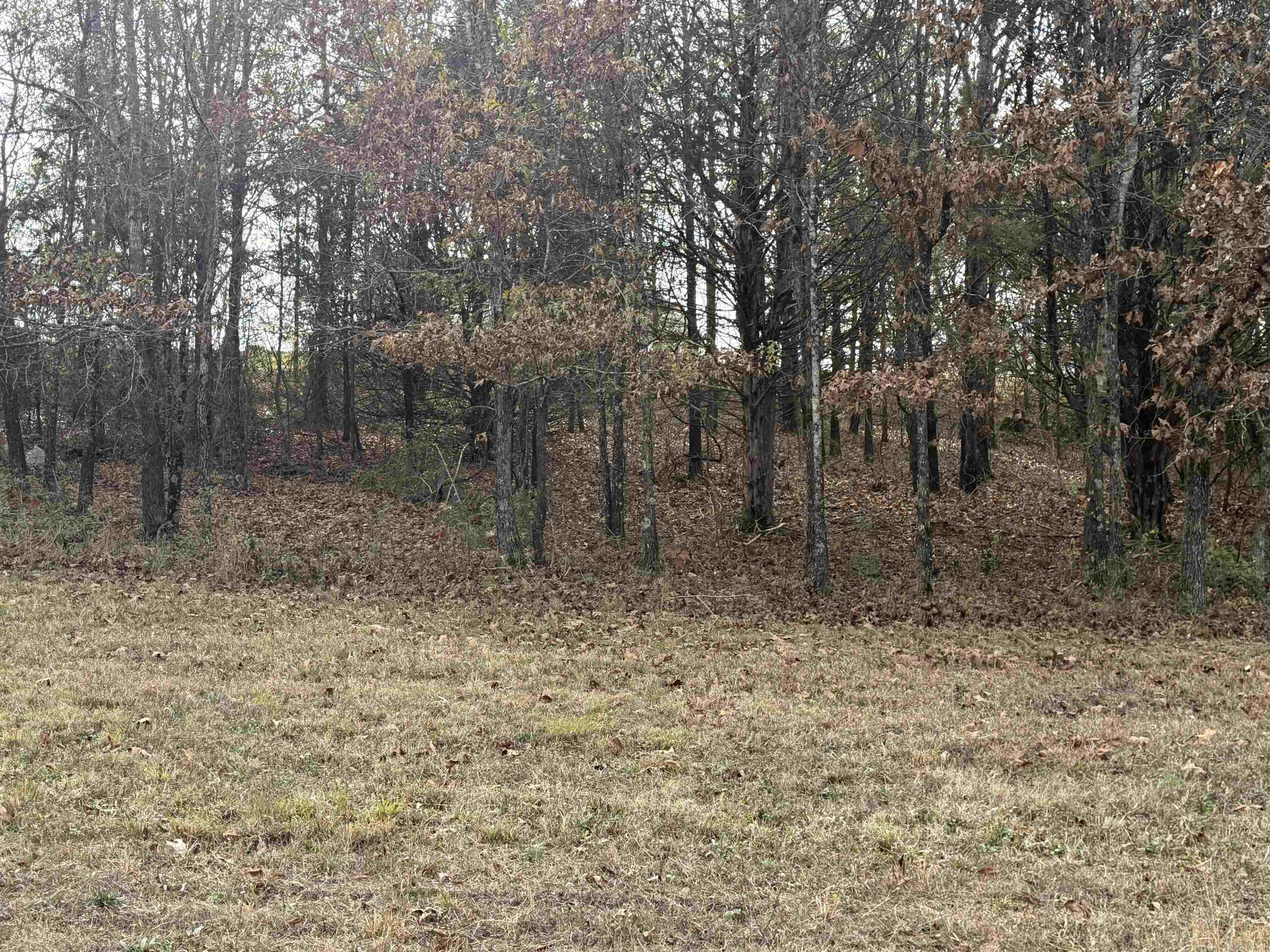 Mountain Ranch Estates - Land