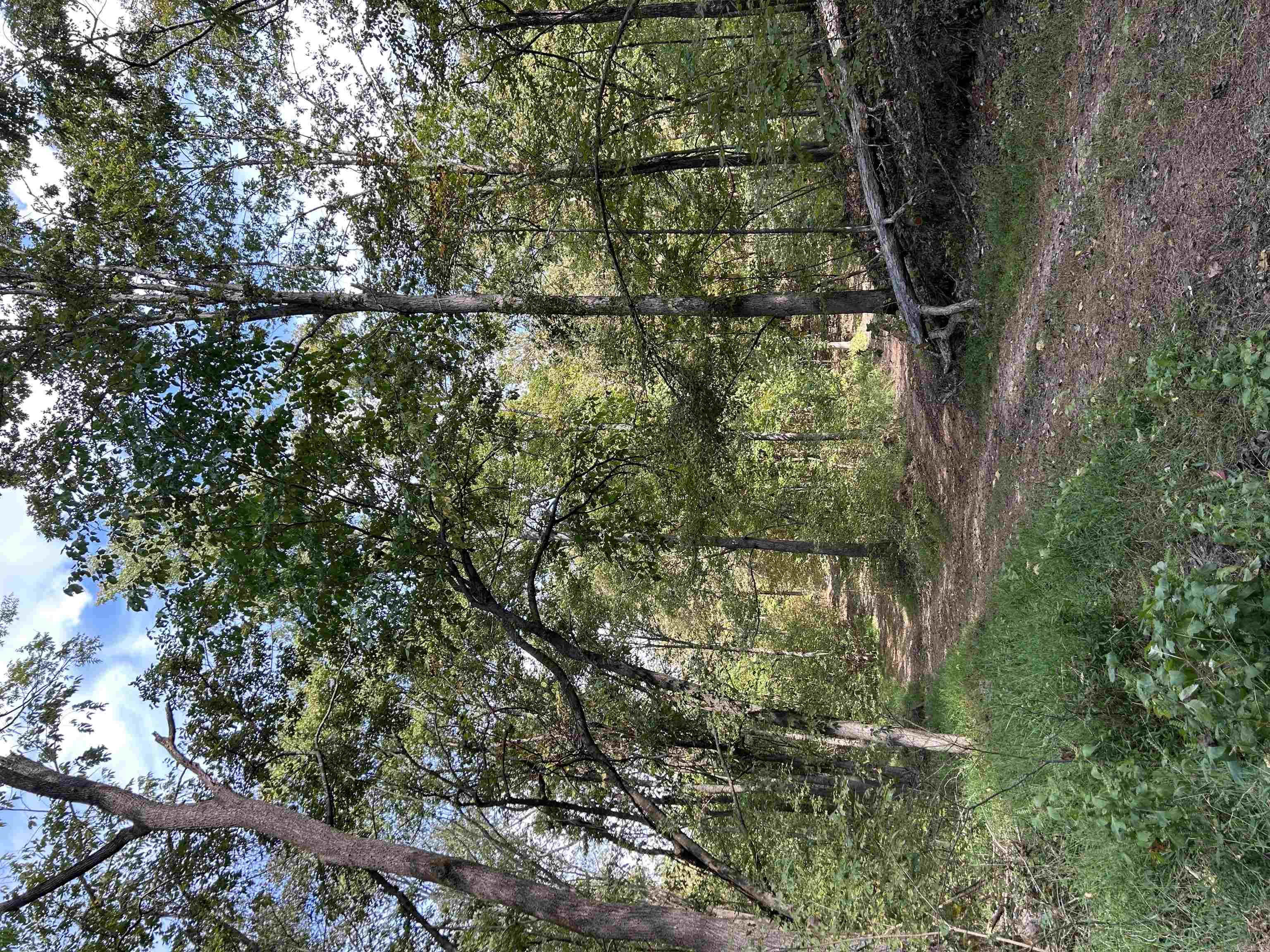 Not in Subdivision - Land