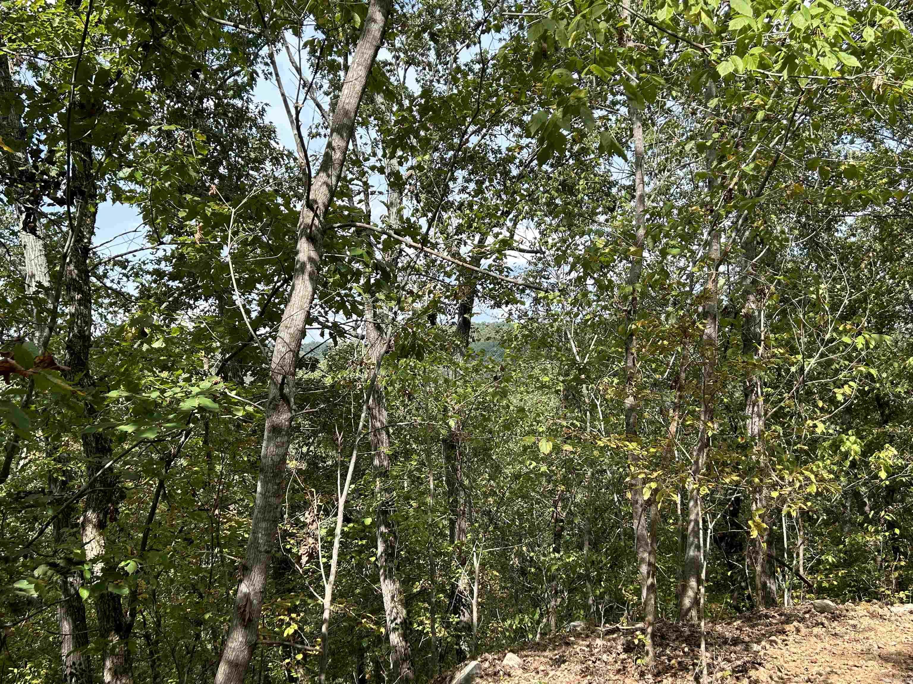 Not in Subdivision - Land