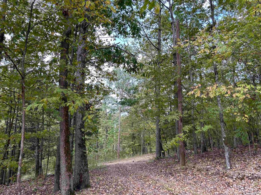 This very private 11.43 acres is convenient to both Mountain View and the White River at Allison/Sylamore. This property overlooks the Sylamore Creek valley and with just a bit clearing of underbrush offers multiple opportunities for incredibly beautiful Ozark Mountain views. There is a good road onto and through the property and a cleared area to build, as well as electric and water to the site, both public and a well. If you dream of living tucked away in the forest with views from a mountain with rock formations, a spring and a wet weather creek, this property is for you.