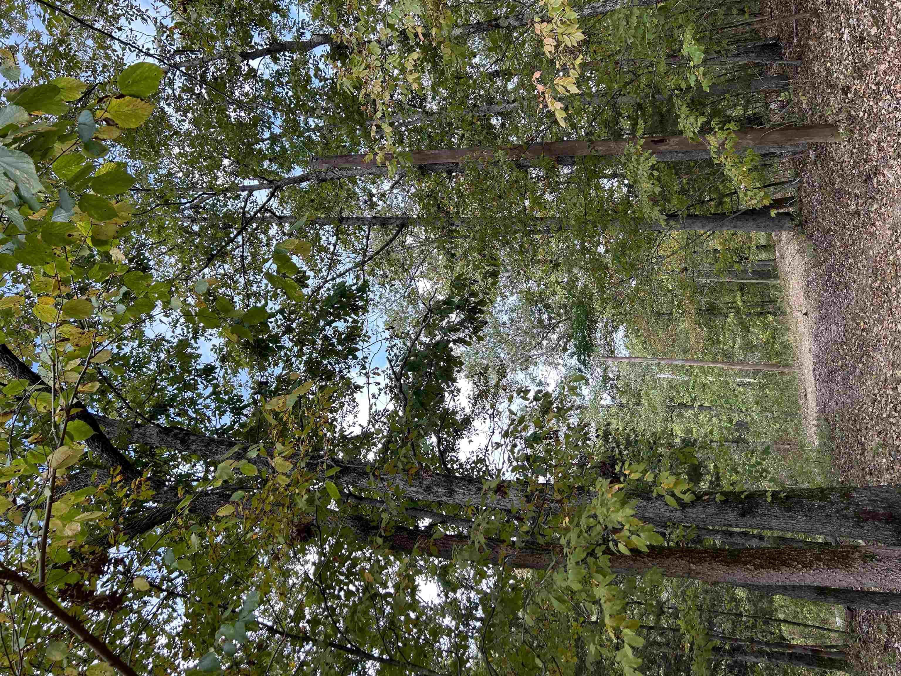 Not in Subdivision - Land