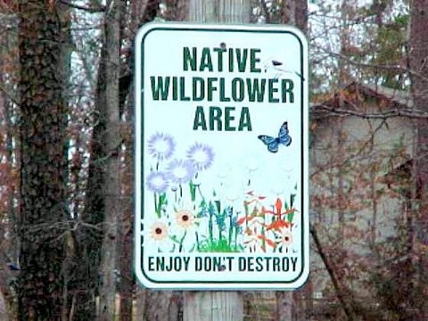 Santa Maria - Residential