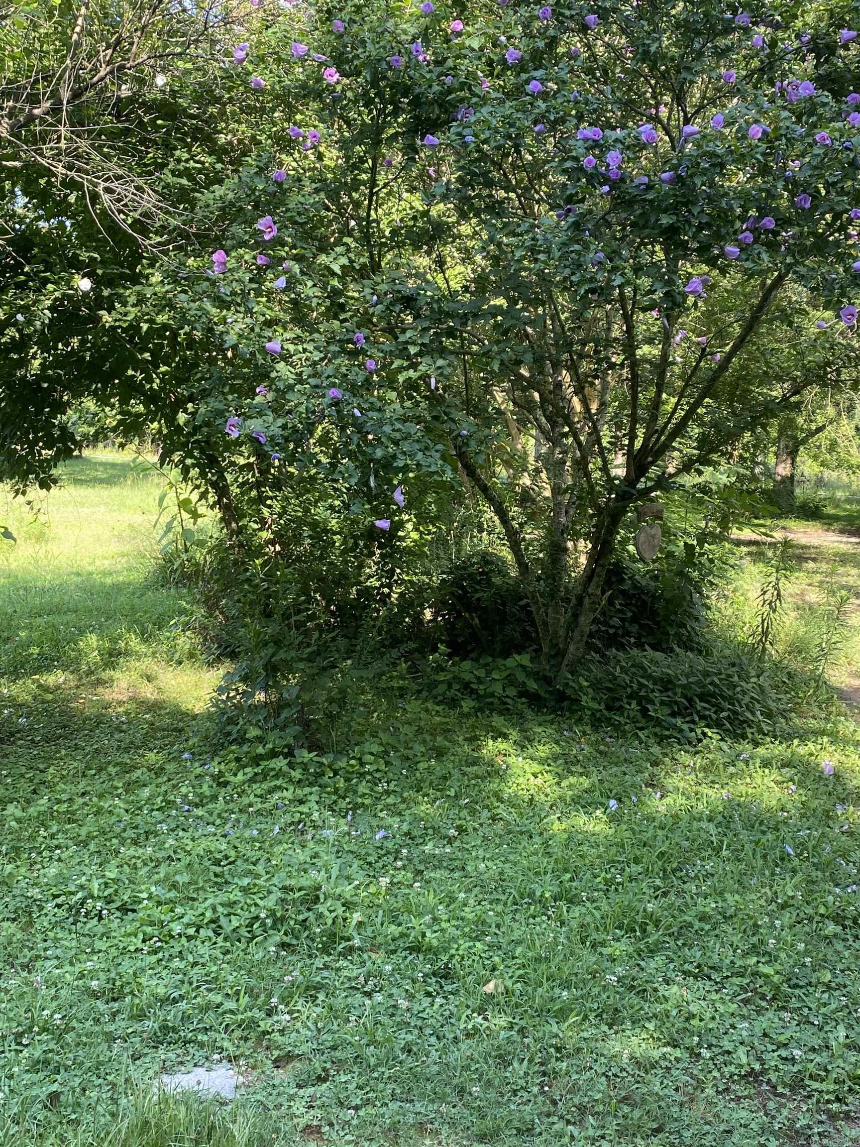 CYPRESS ACRES SUBDIVISION - Land