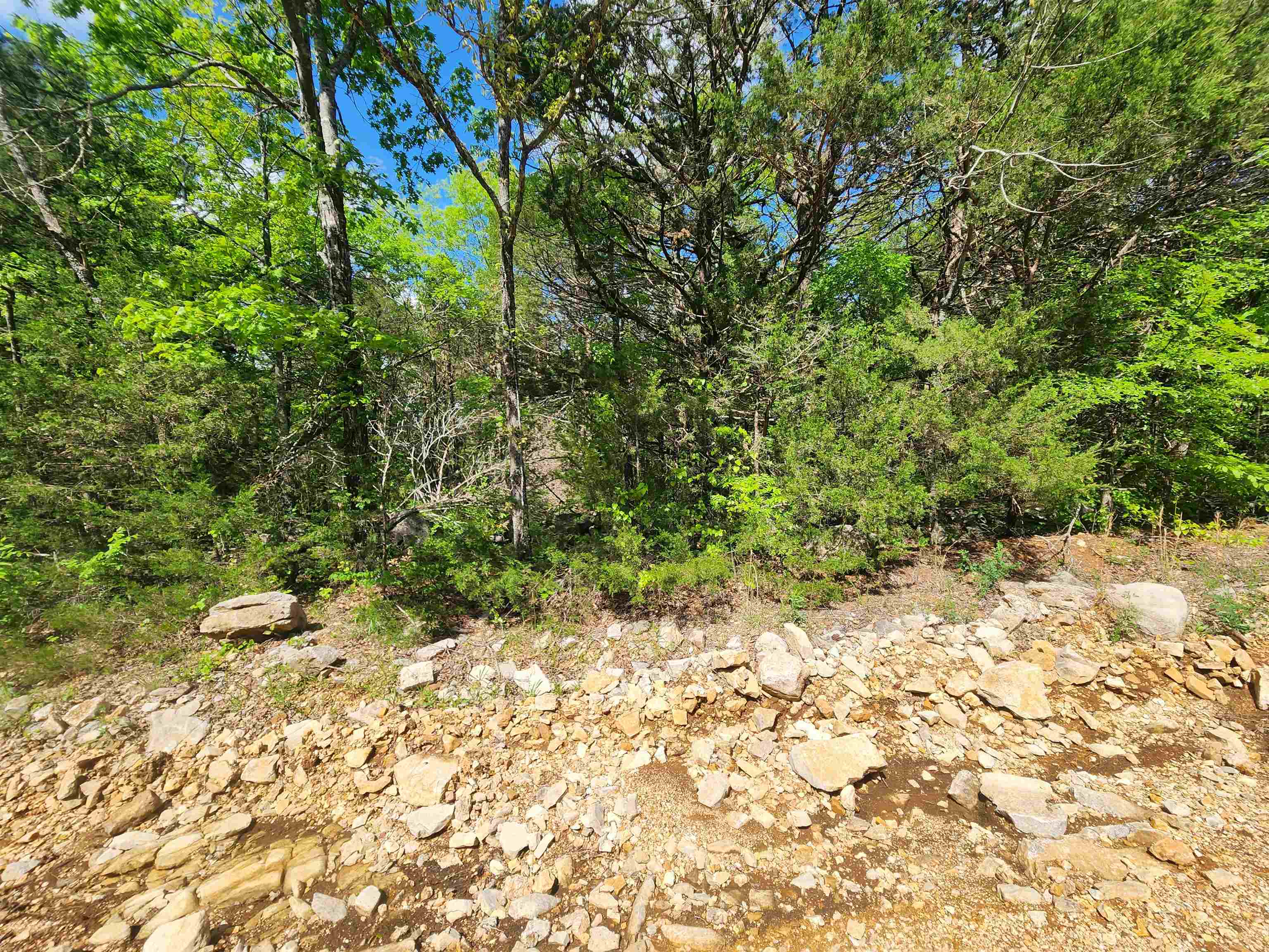 Wolf Hollow Unit 3 - Land