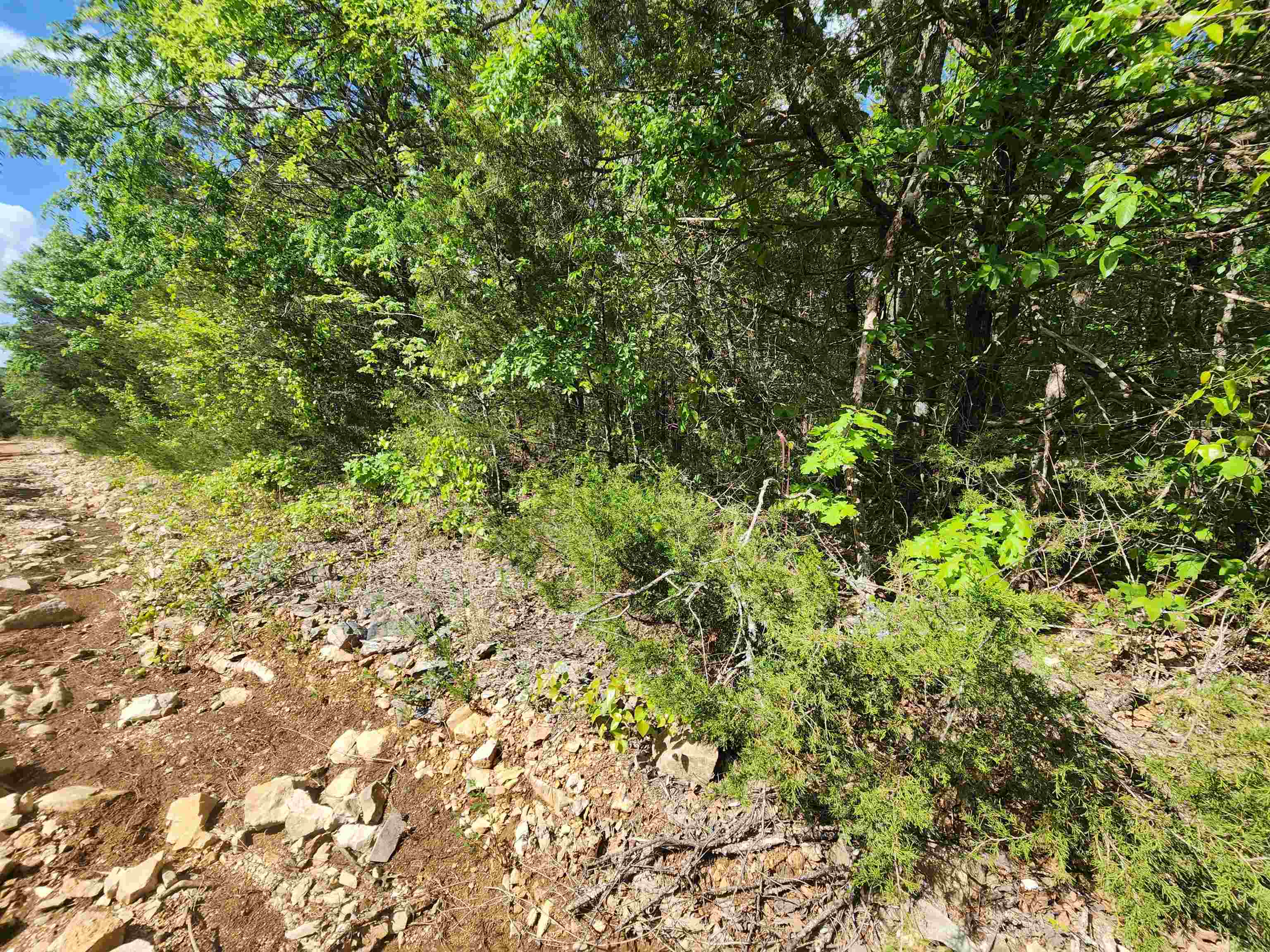 Wolf Hollow Unit 3 - Land