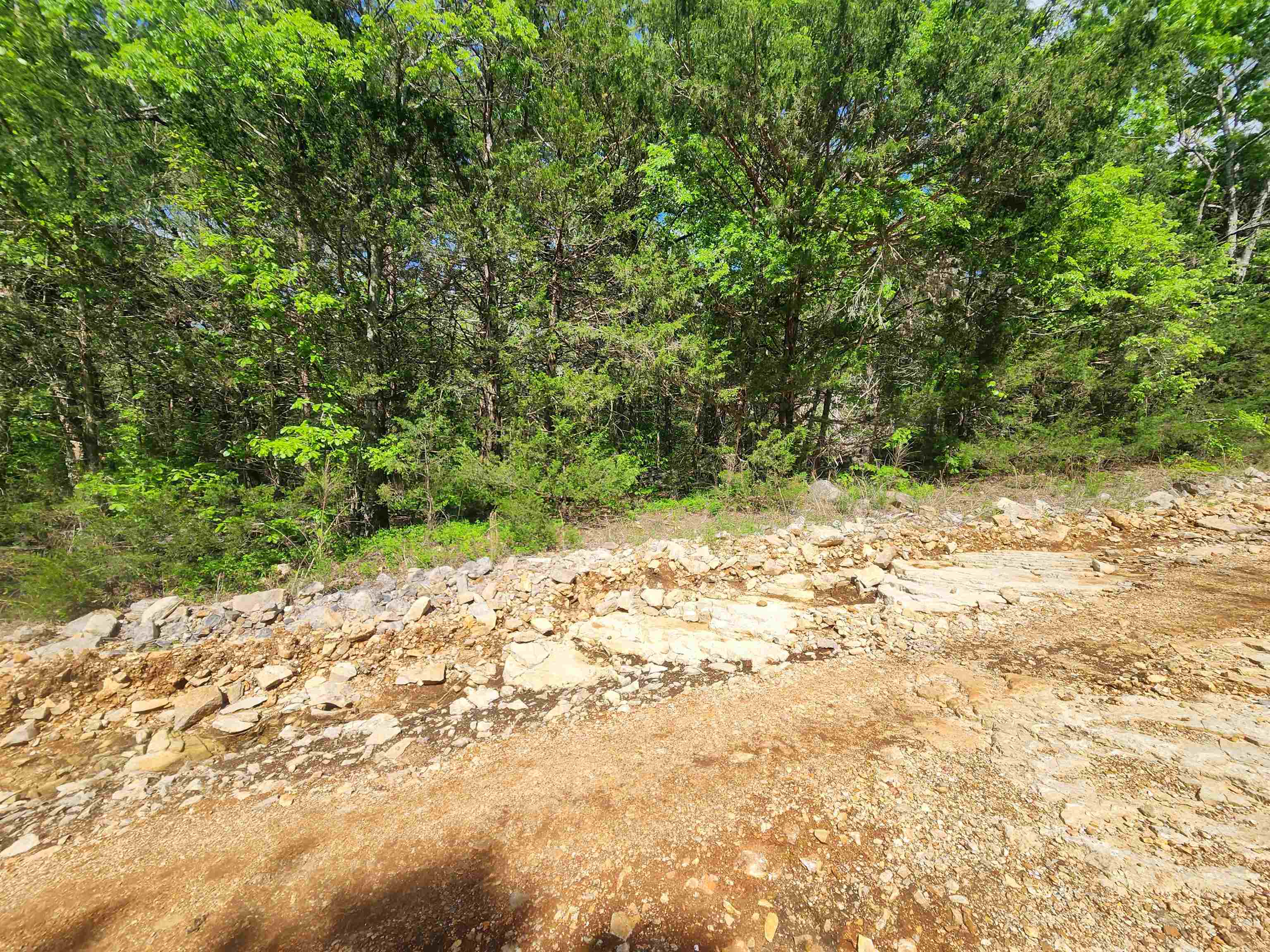 Wolf Hollow Unit 3 - Land